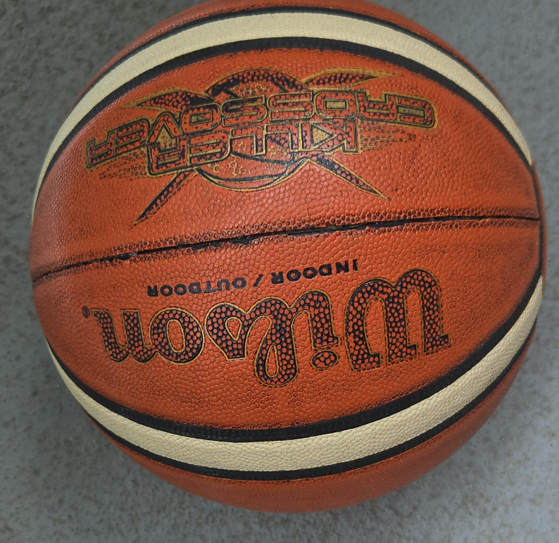 Wilson Basketball