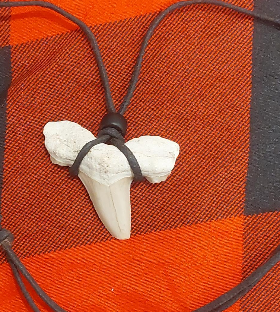 Shark Tooth Necklace thumbnail