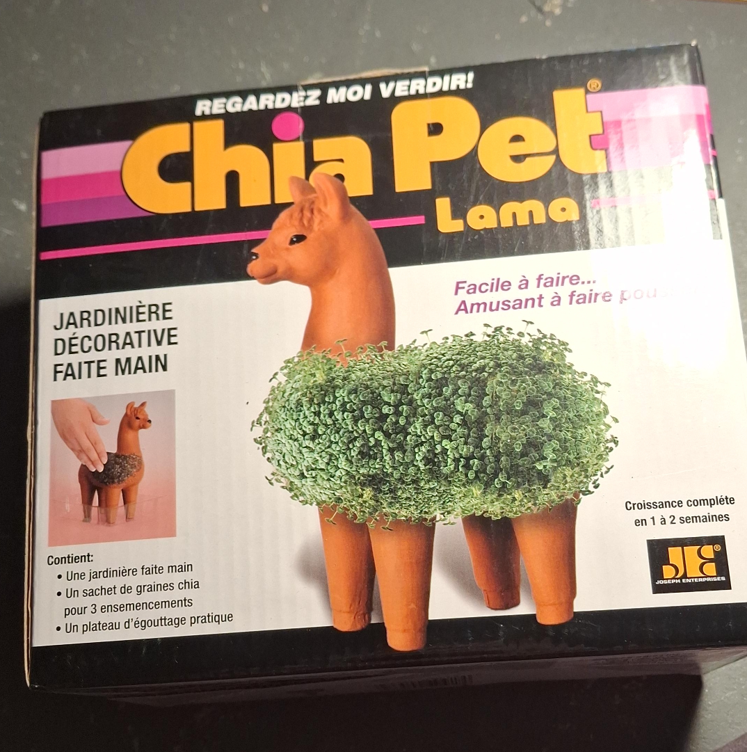 Chia Pet Llama - Decorative Planter