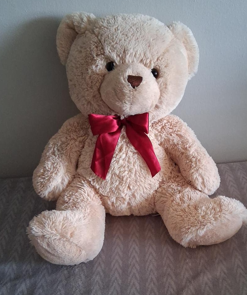 Hugfun International Teddy Bear thumbnail