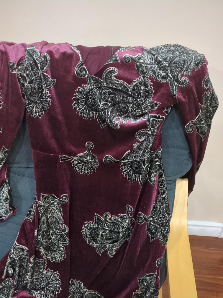 Burgundy Velvet Paisley Dress thumbnail