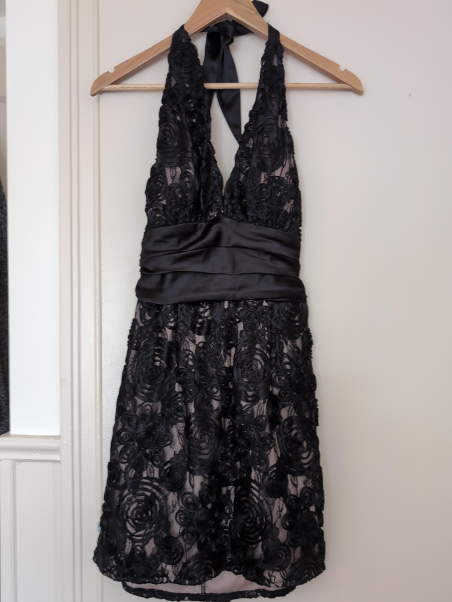 🇨🇦Pink Violet Black Lace and Satin Halter Dress thumbnail