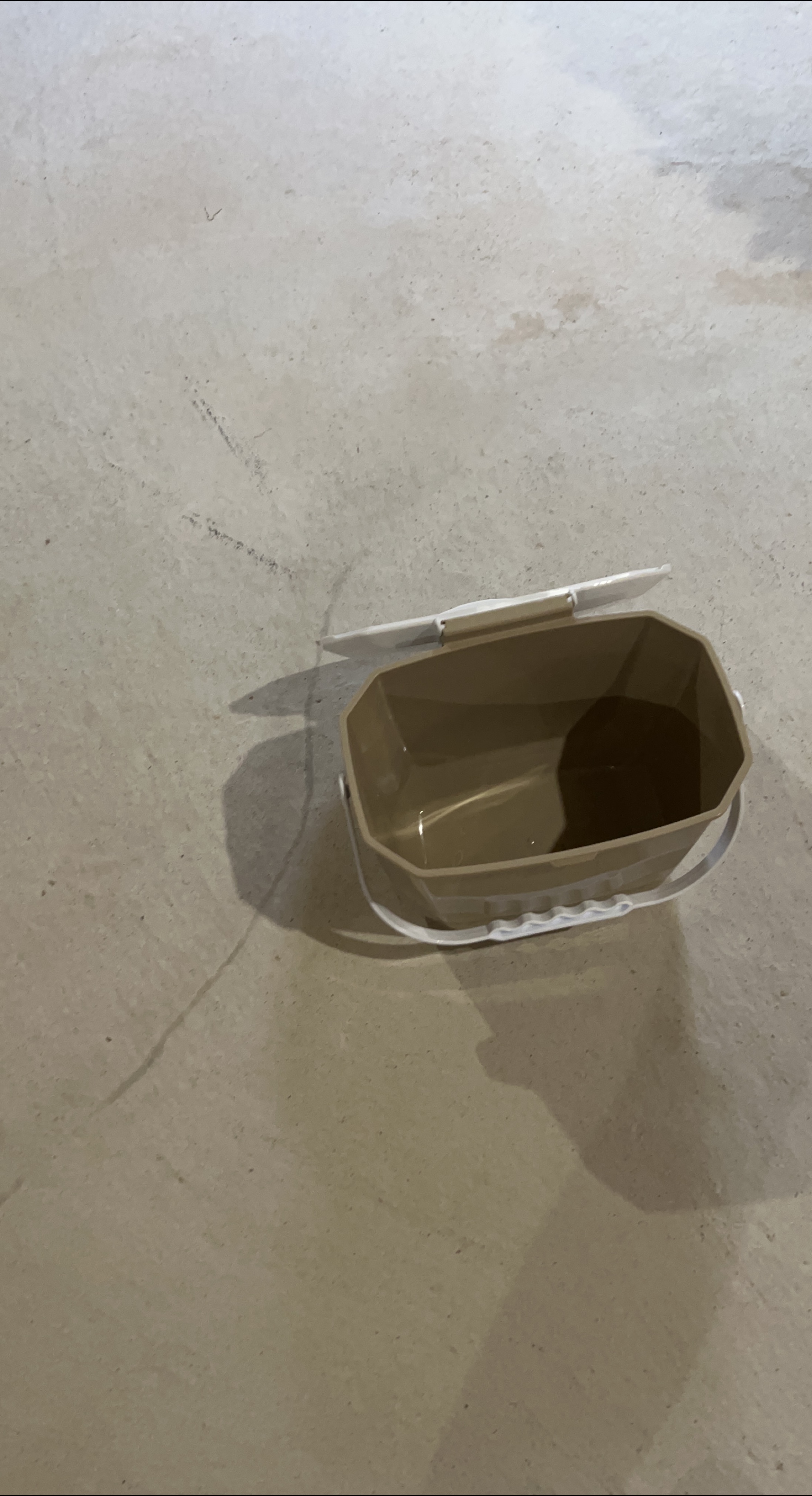Beige Plastic organic bin with Handle thumbnail