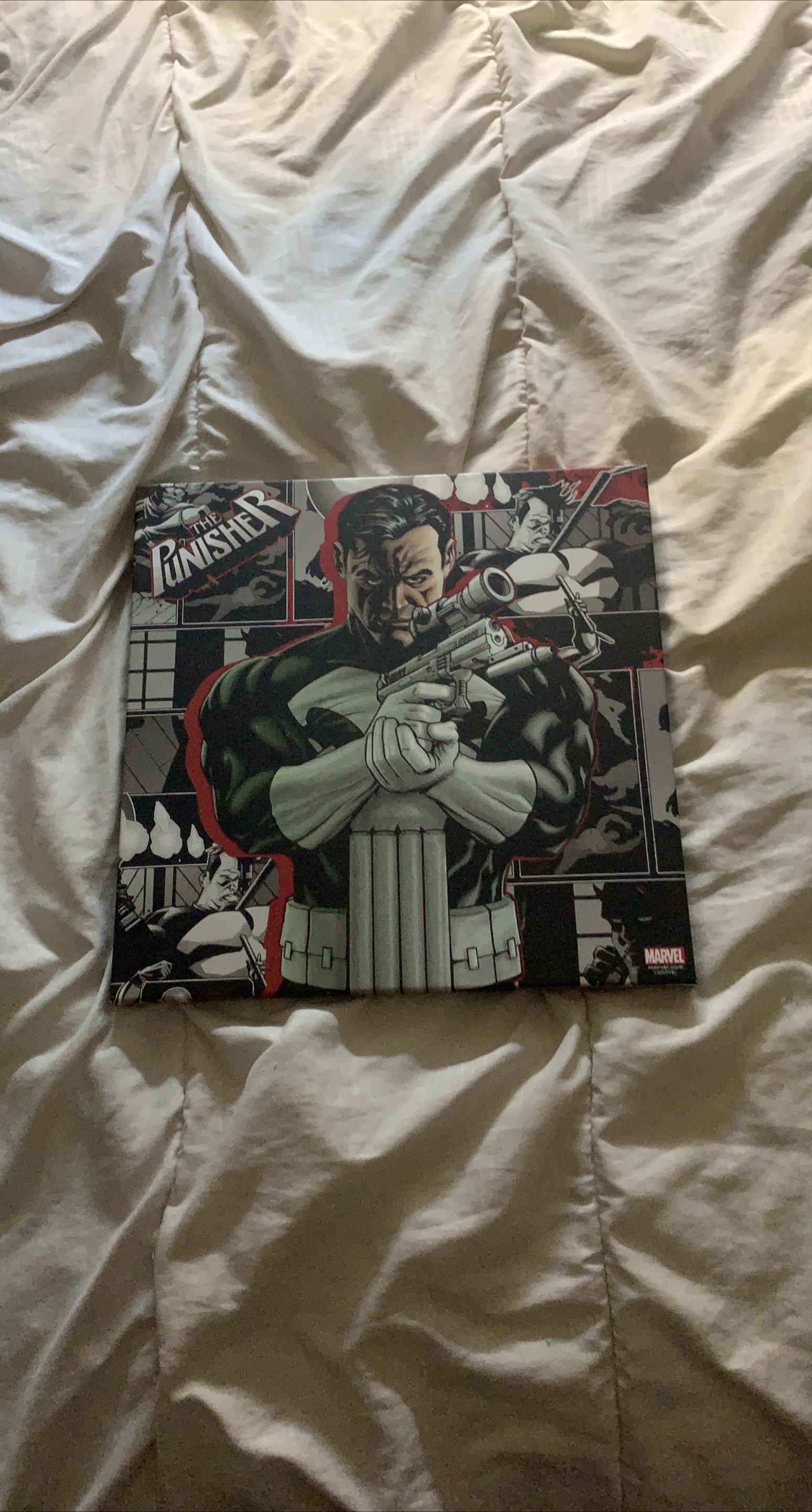 The Punisher Comic Book Art thumbnail
