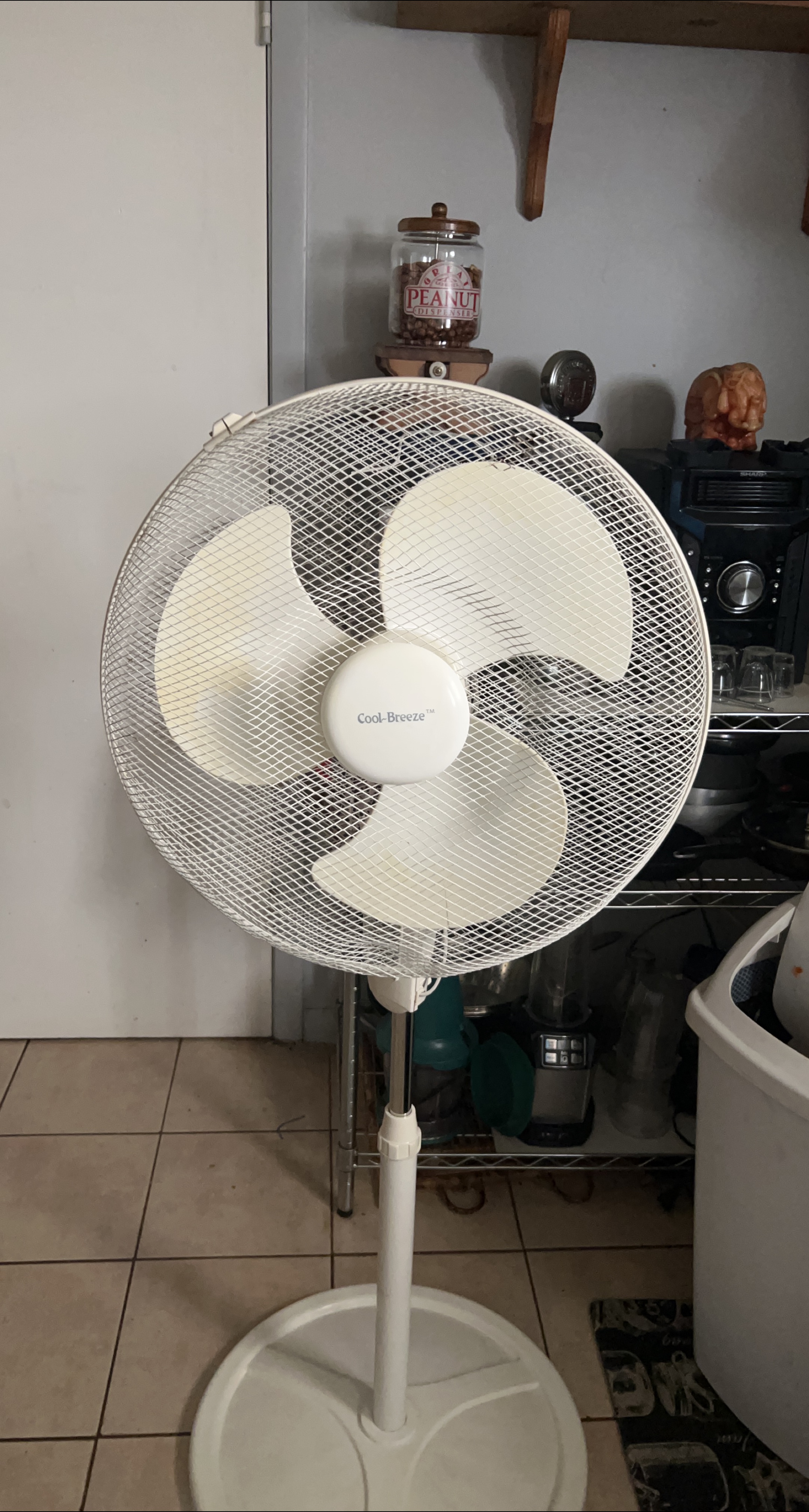 Cool-Breeze White Stand Fan thumbnail