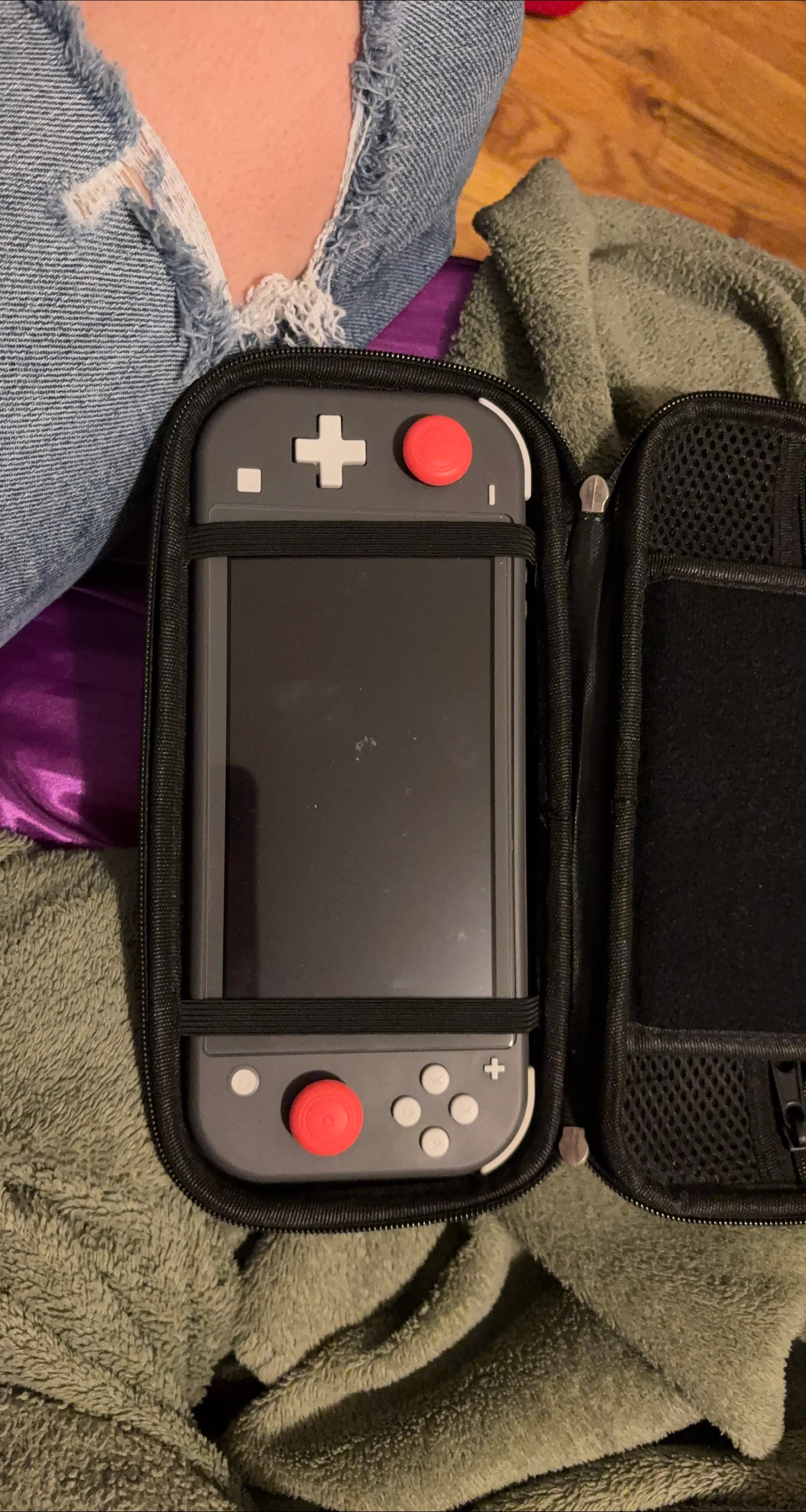 Nintendo Switch Lite Gray with Case