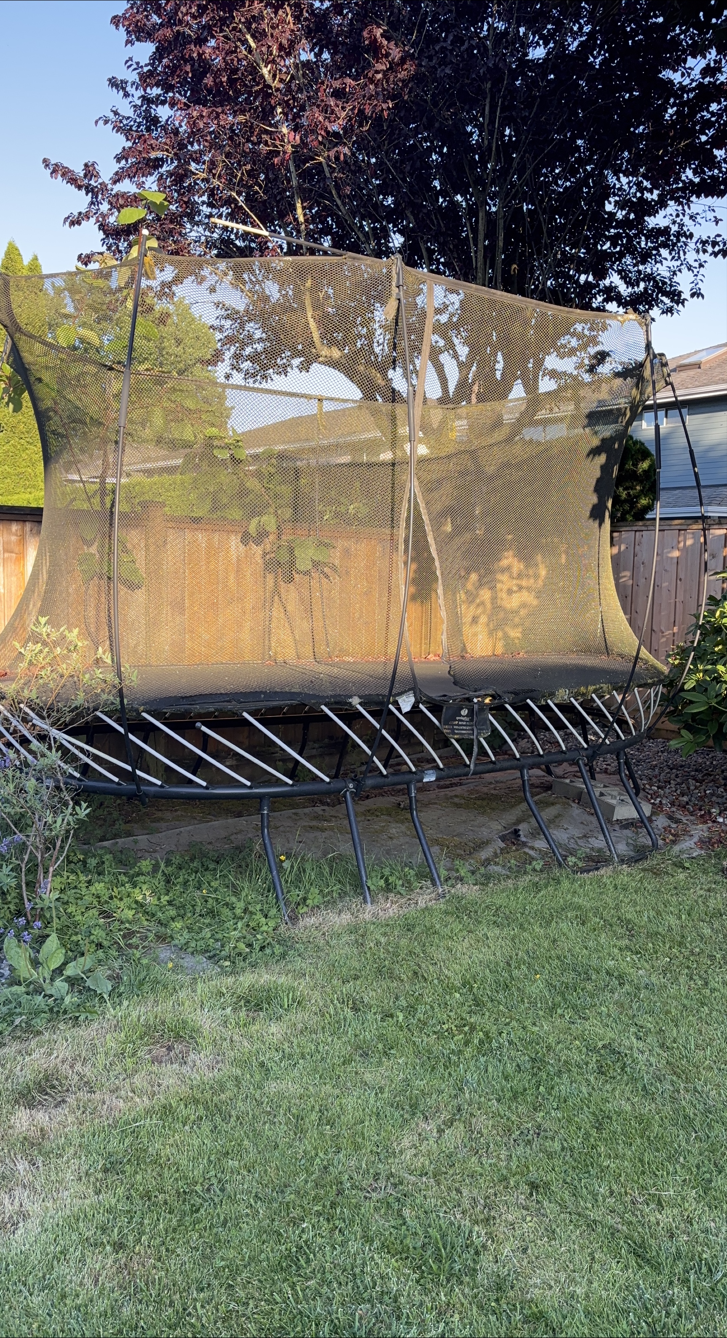 Springfree Trampoline thumbnail