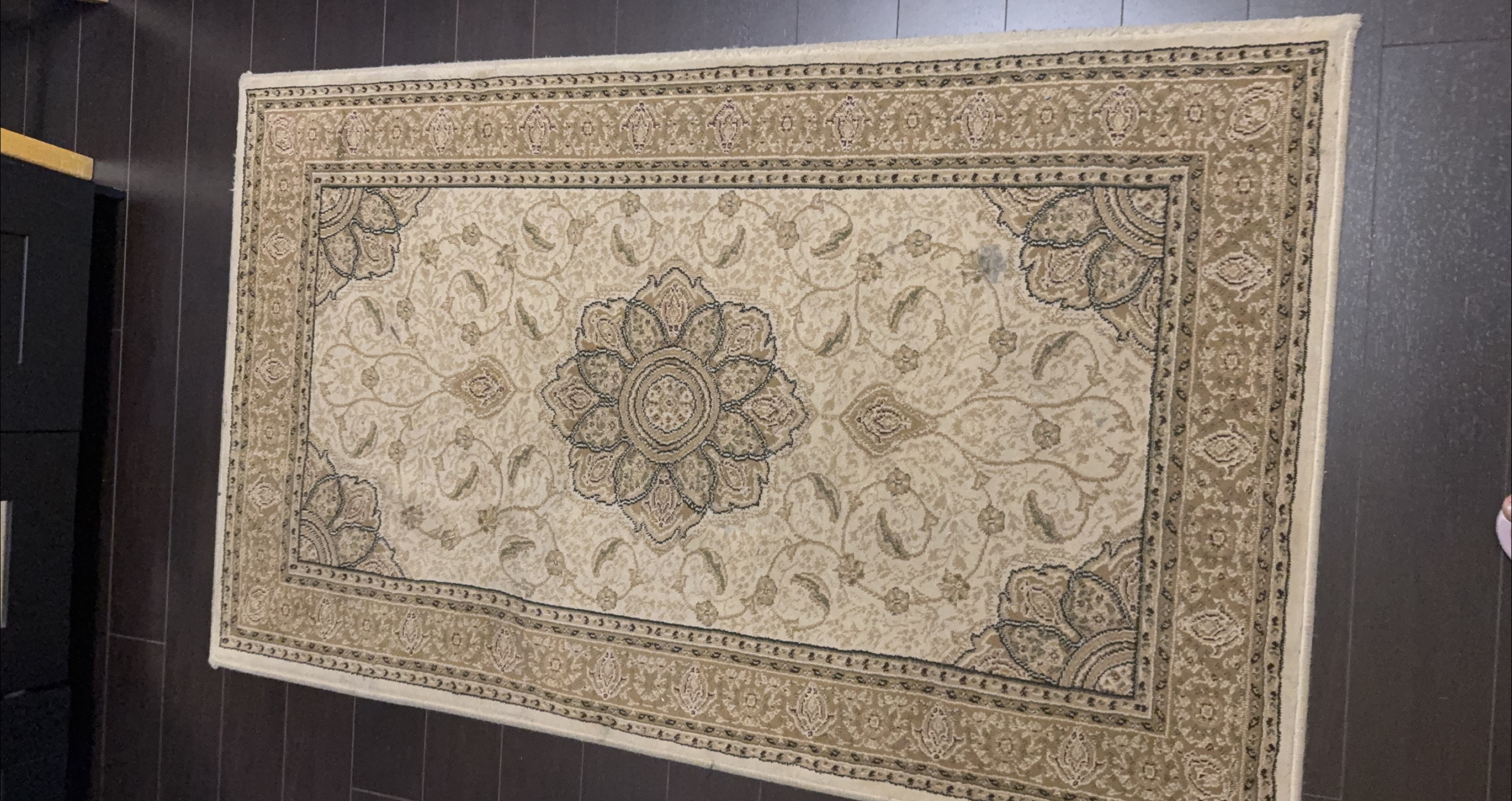 Patterned Area Rug - Beige/Brown thumbnail