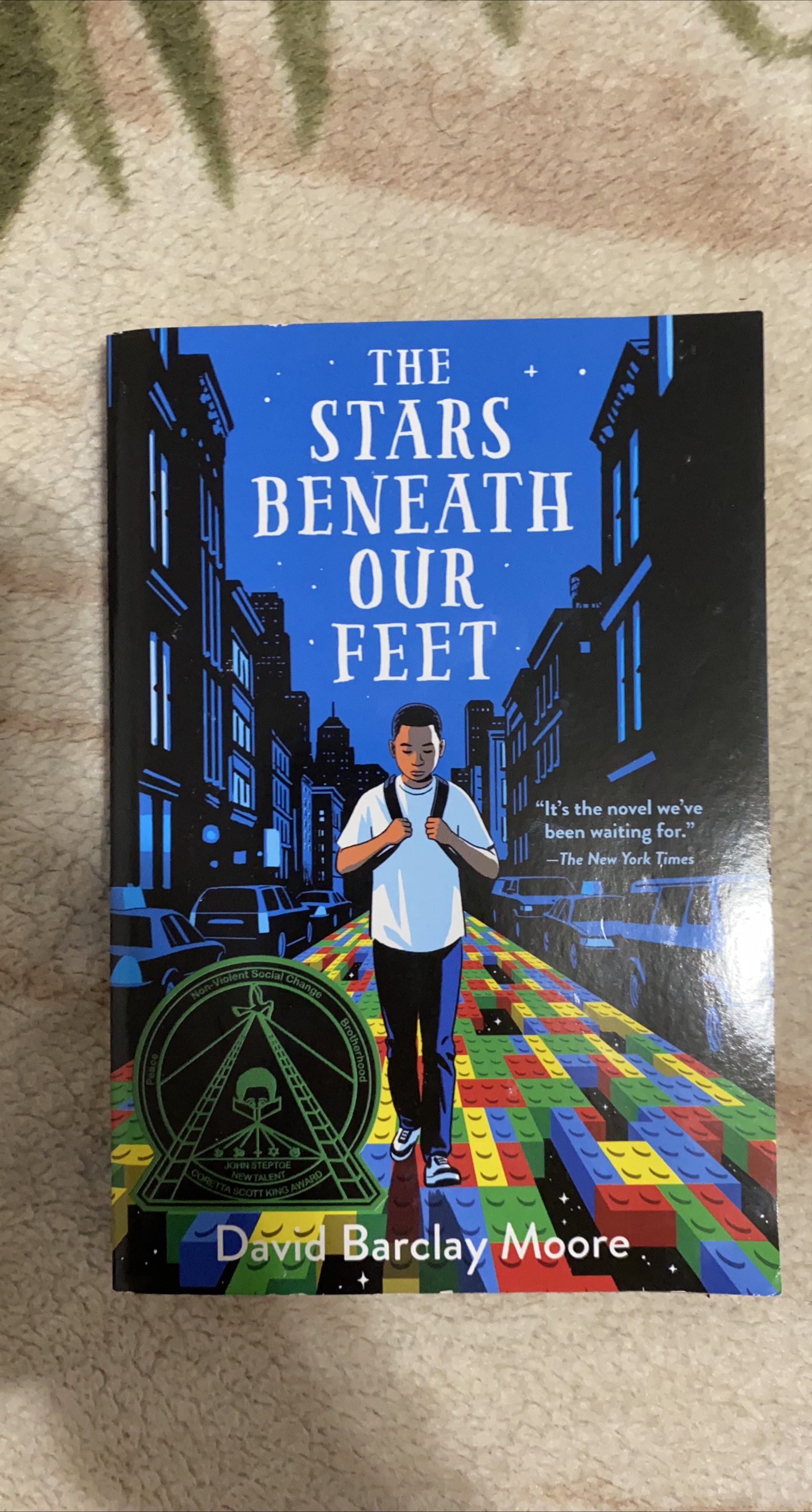 The Stars Beneath Our Feet by David Barclay Moore thumbnail