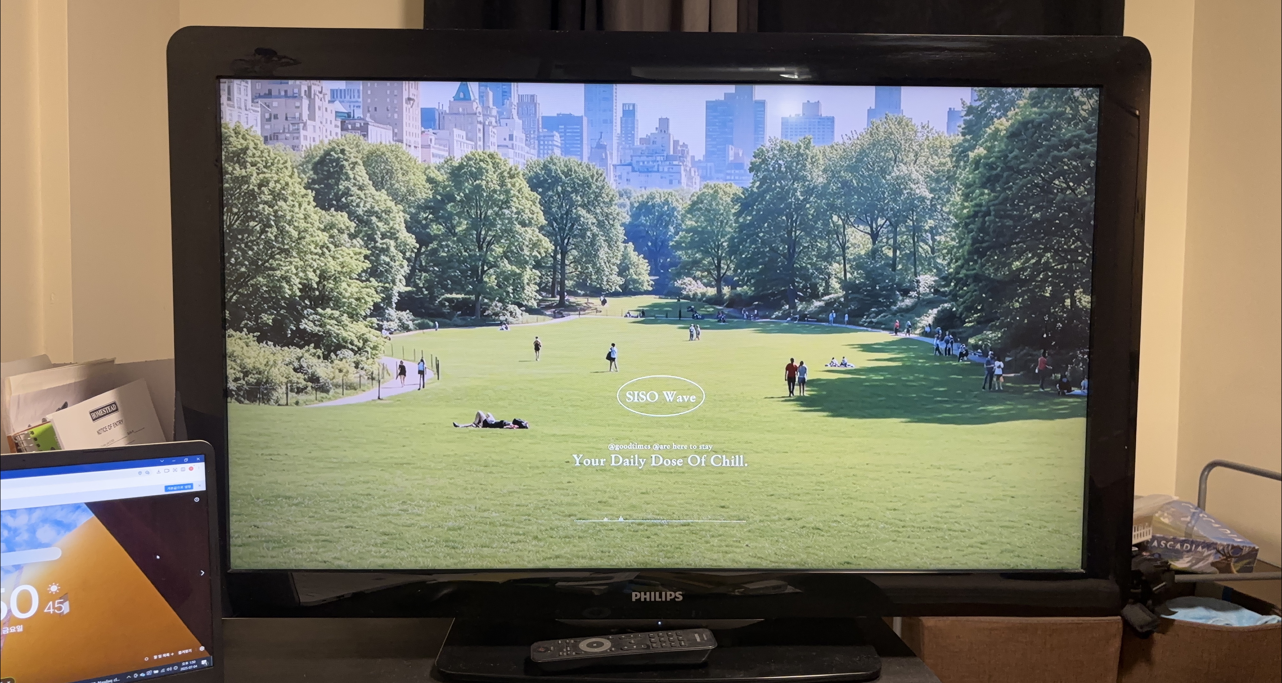 Philips TV + Remote control