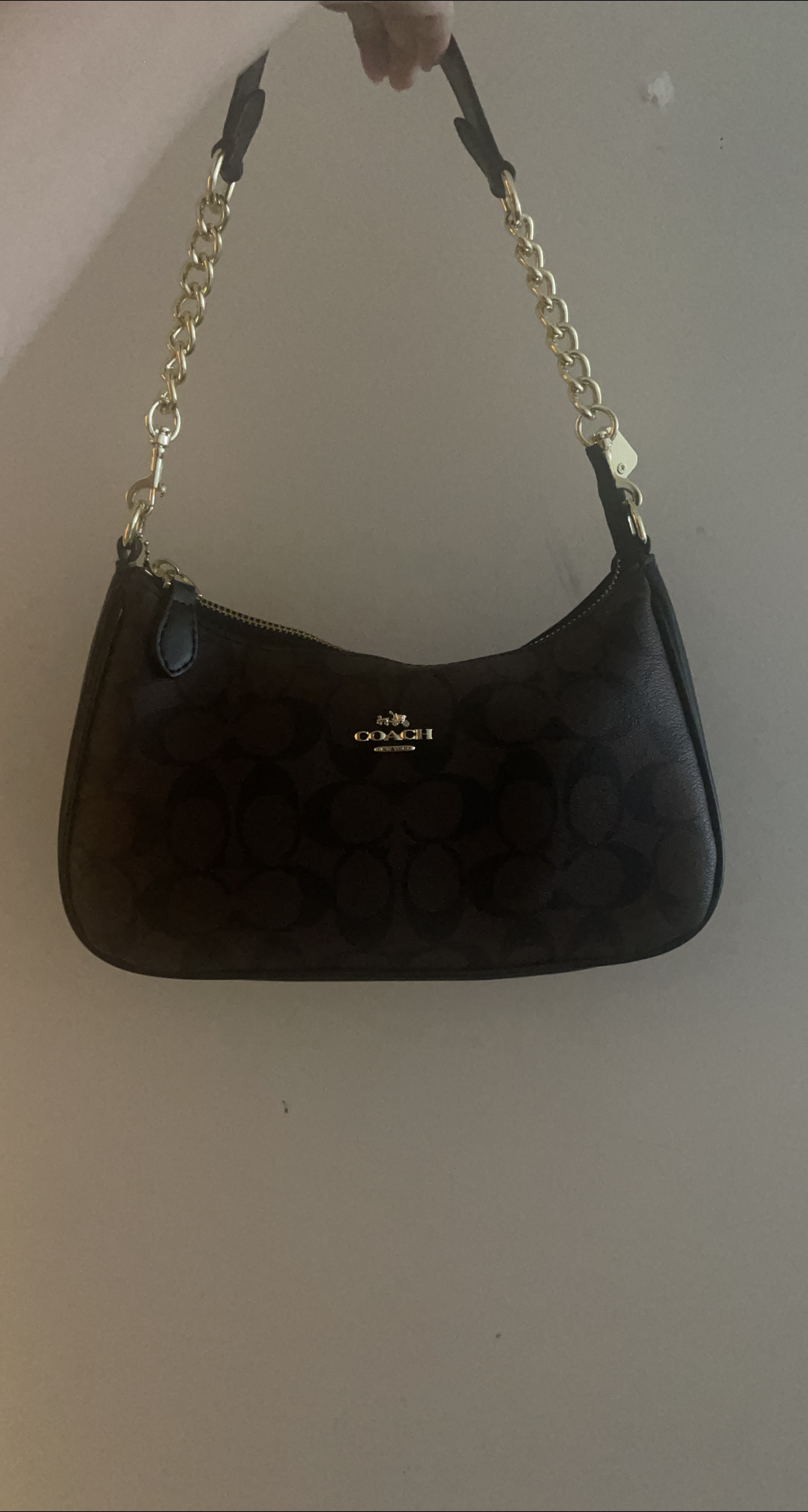 Coach Teri Bag Brown and Black Dupe thumbnail