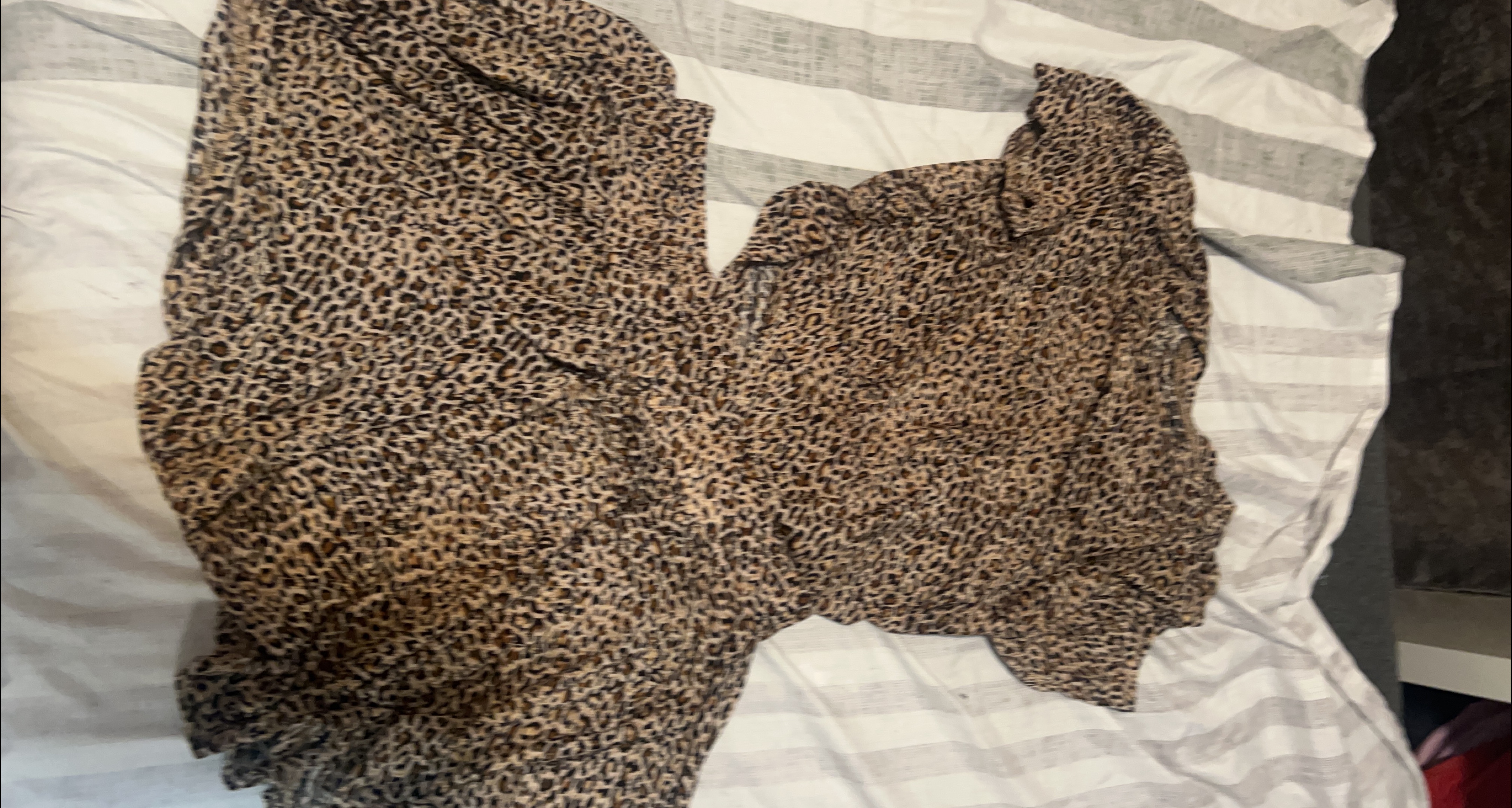 Leopard Print Blouse thumbnail