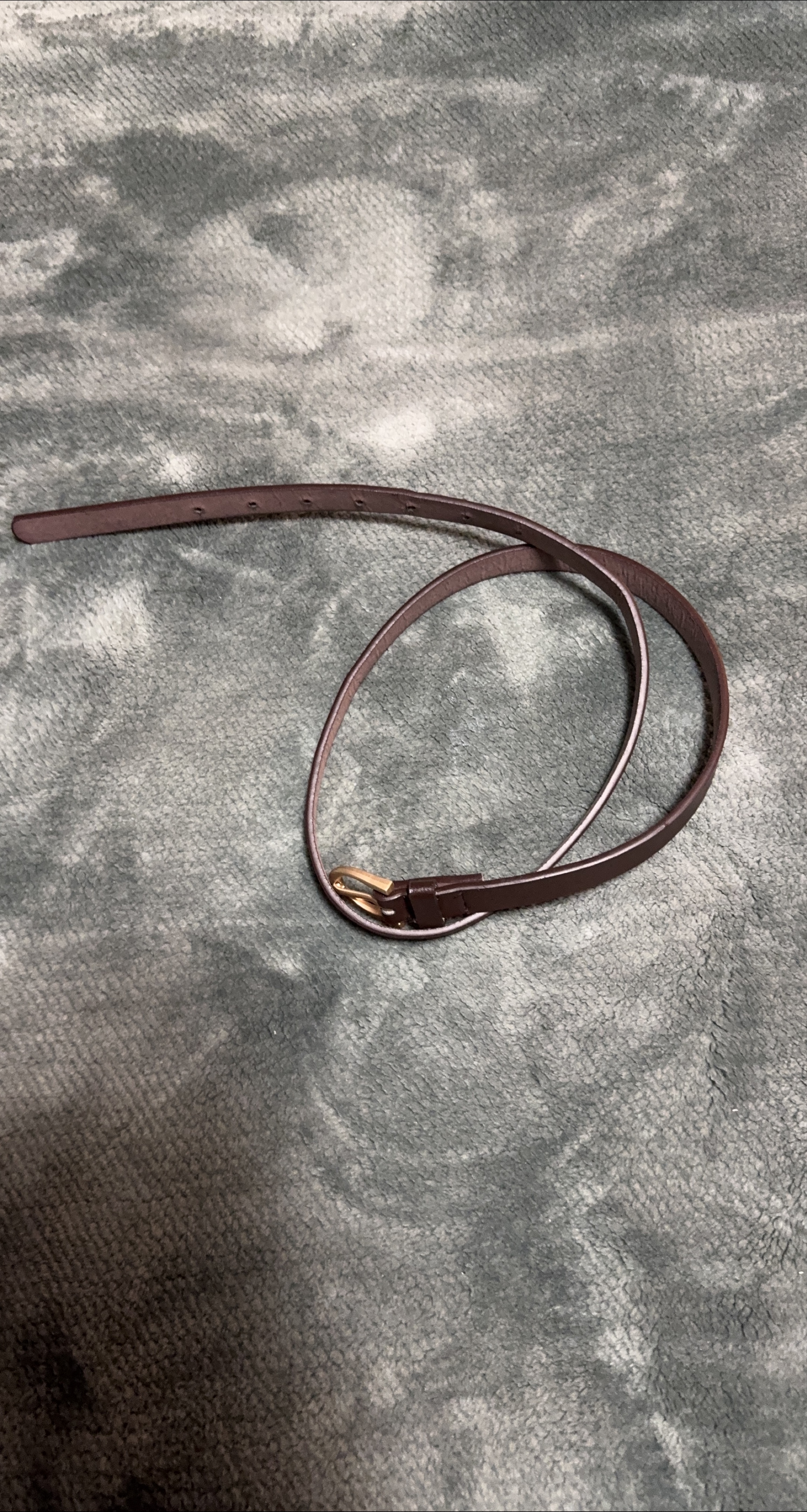 Brown  Belt thumbnail