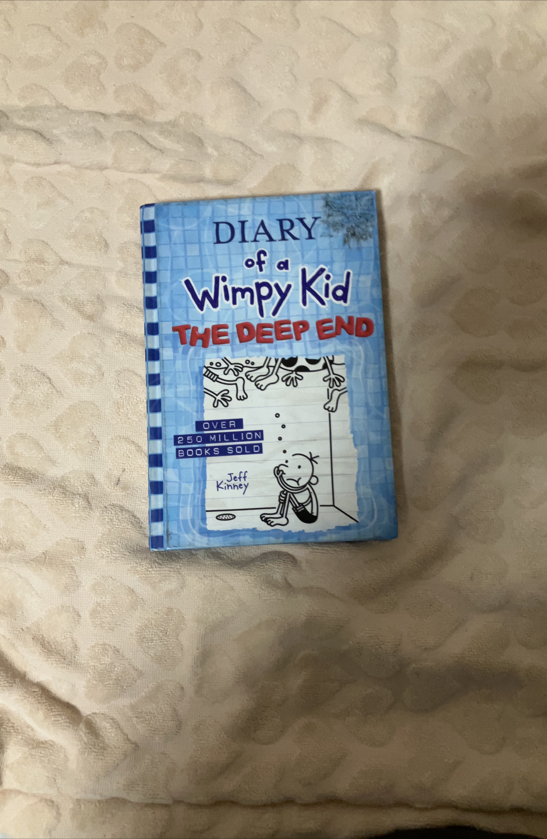Diary of a Wimpy Kid: The Deep End thumbnail