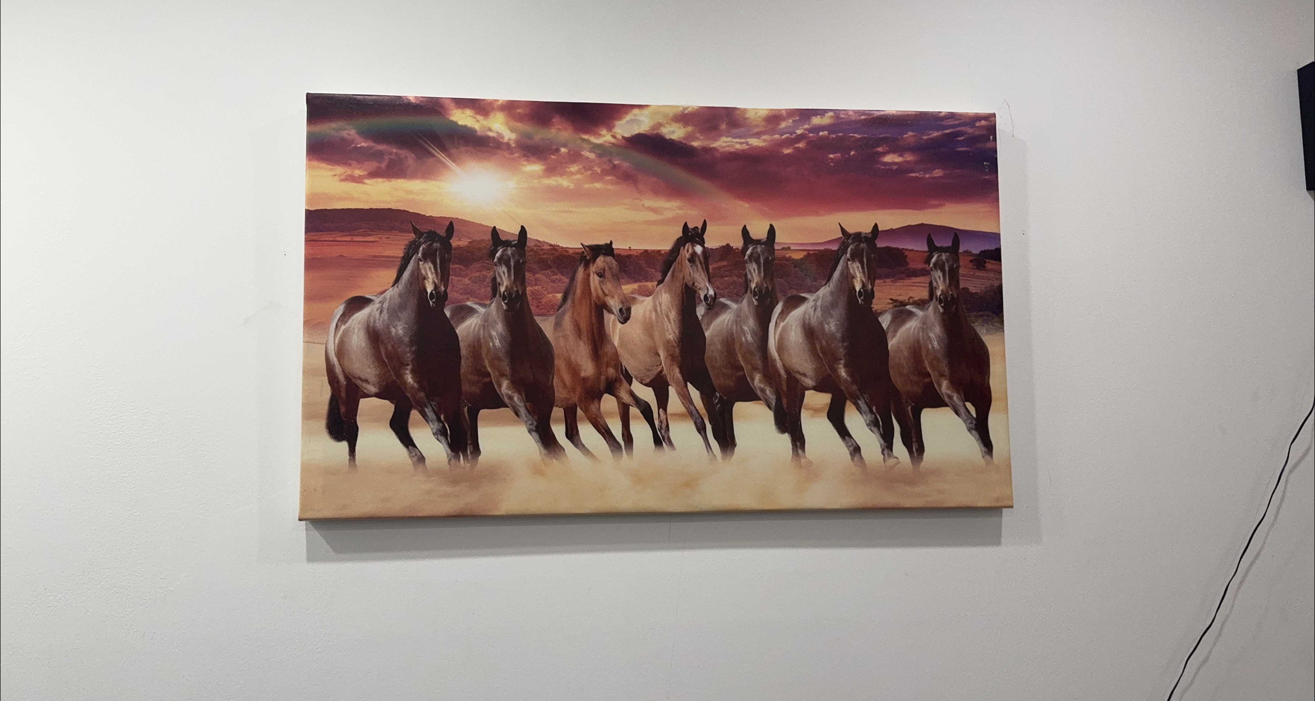 Horse Canvas Wall Art thumbnail
