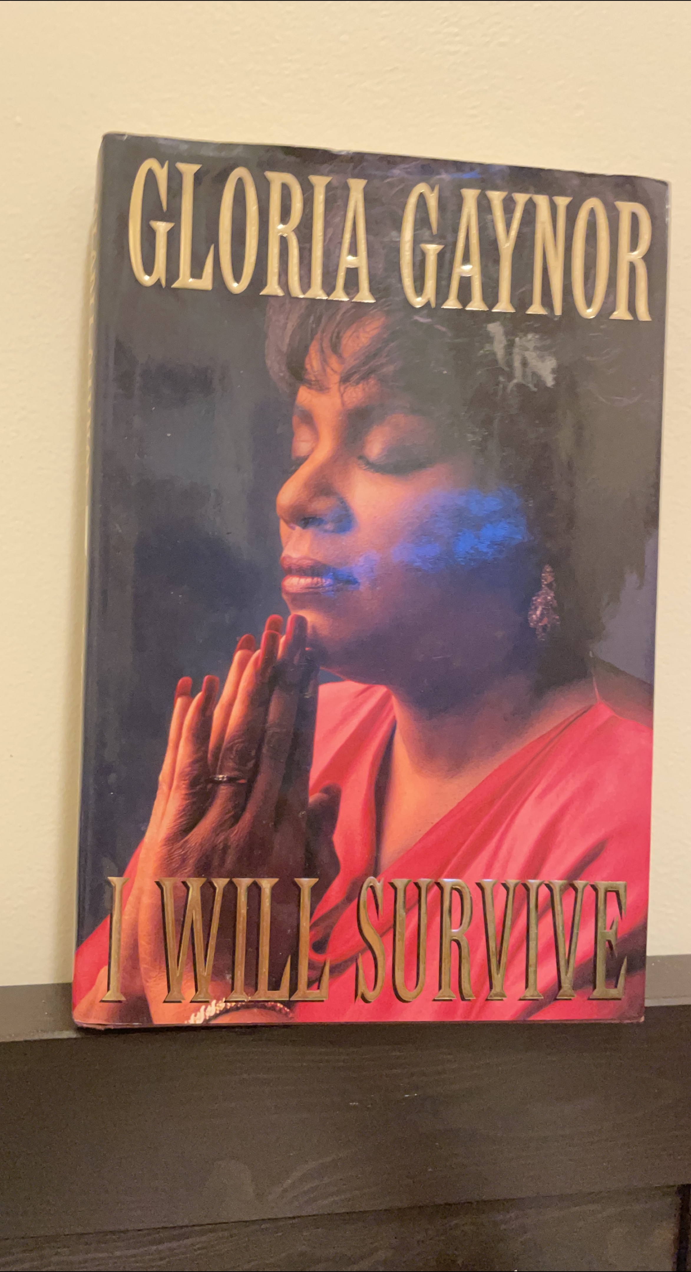 Gloria Gaynor - I Will Survive Book thumbnail