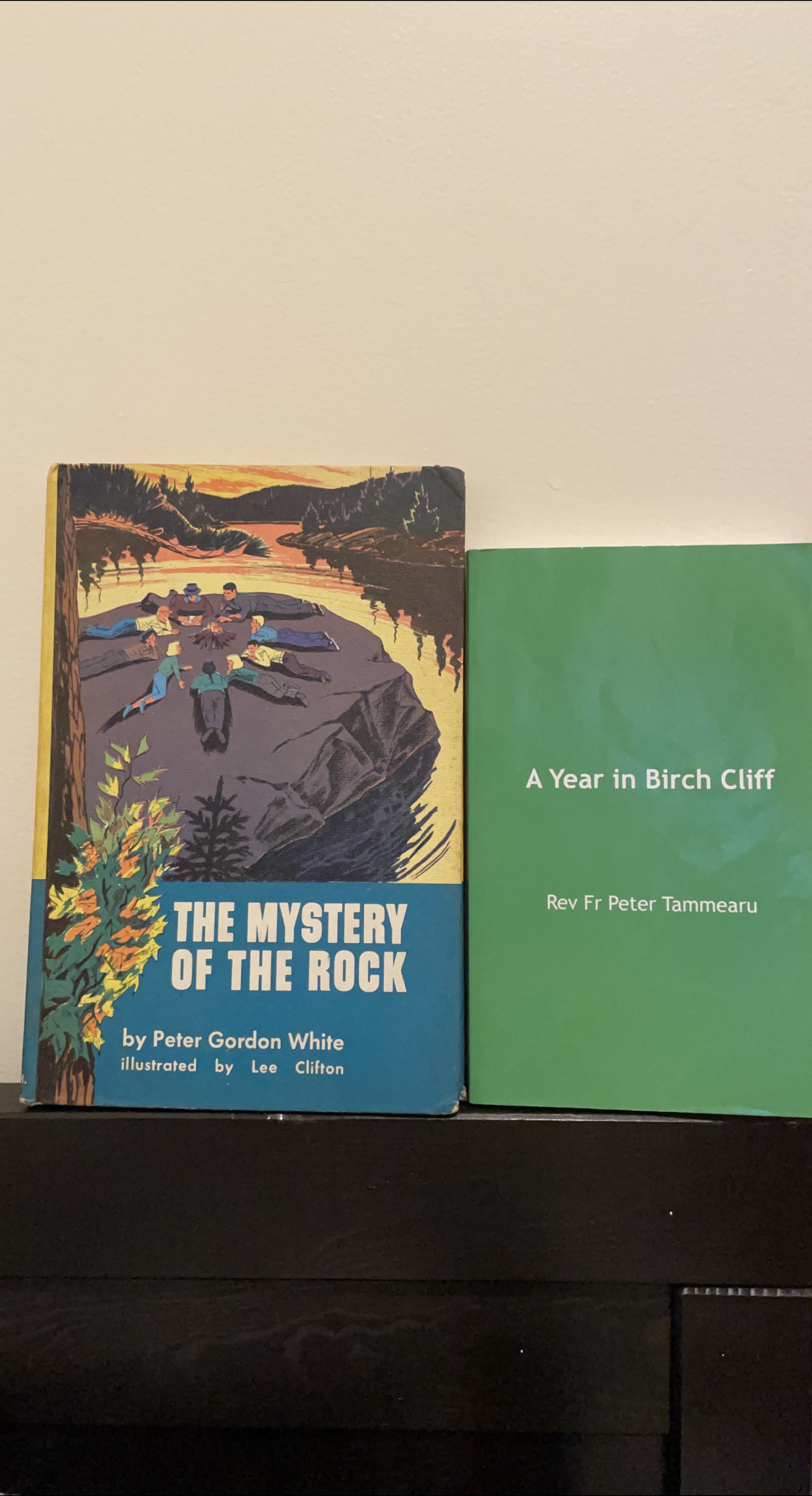The Mystery of the Rock & A Year in Birch Cliff Books thumbnail