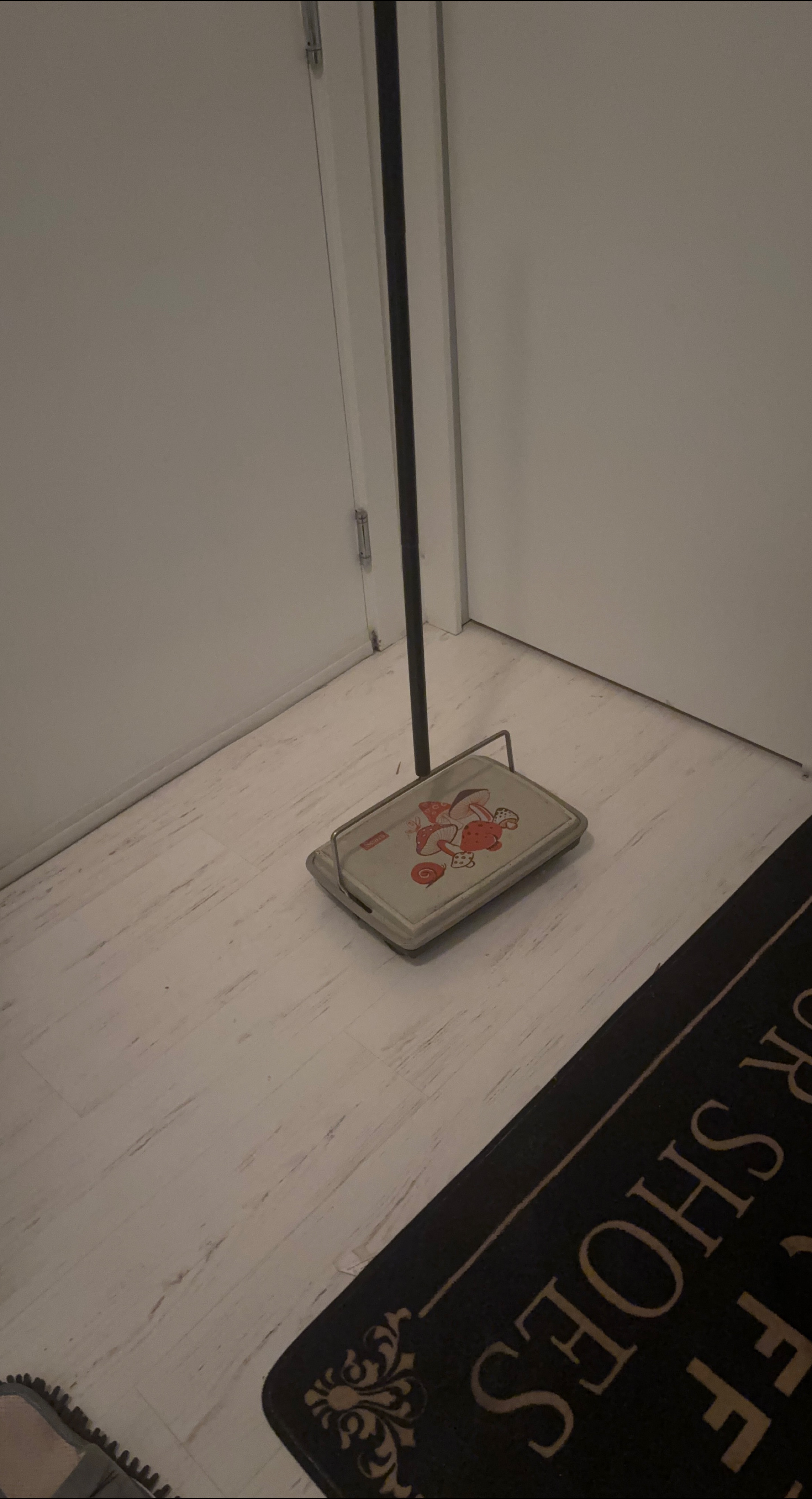 Vintage Carpet Sweeper thumbnail