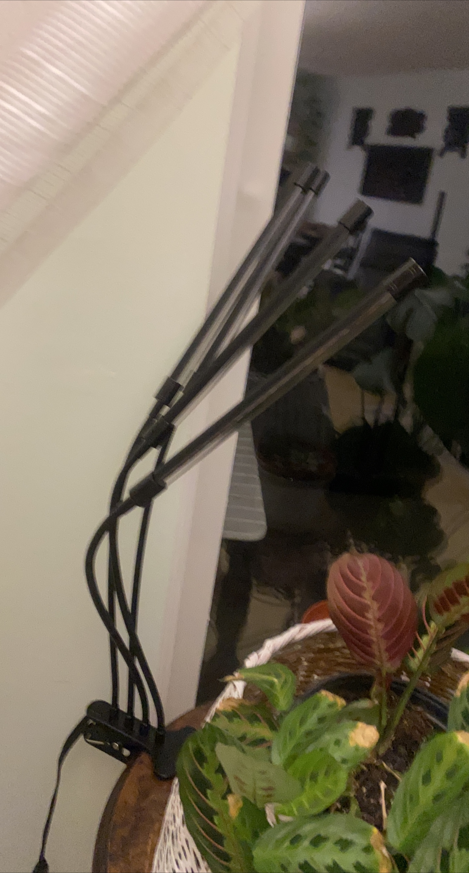 LED Grow Light with Adjustable Gooseneck thumbnail