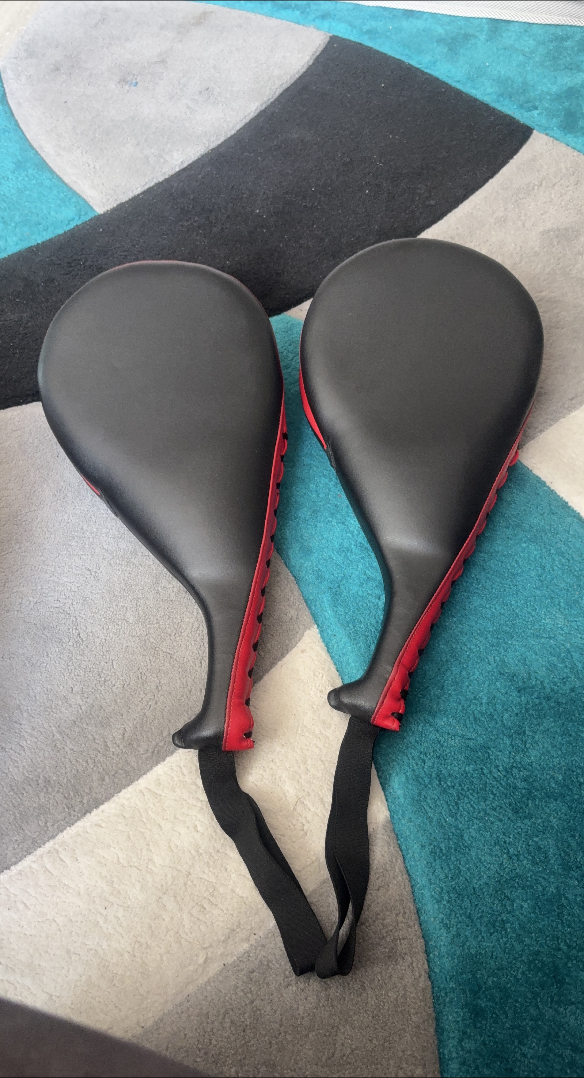 Pair of Black & Red Punching Pads