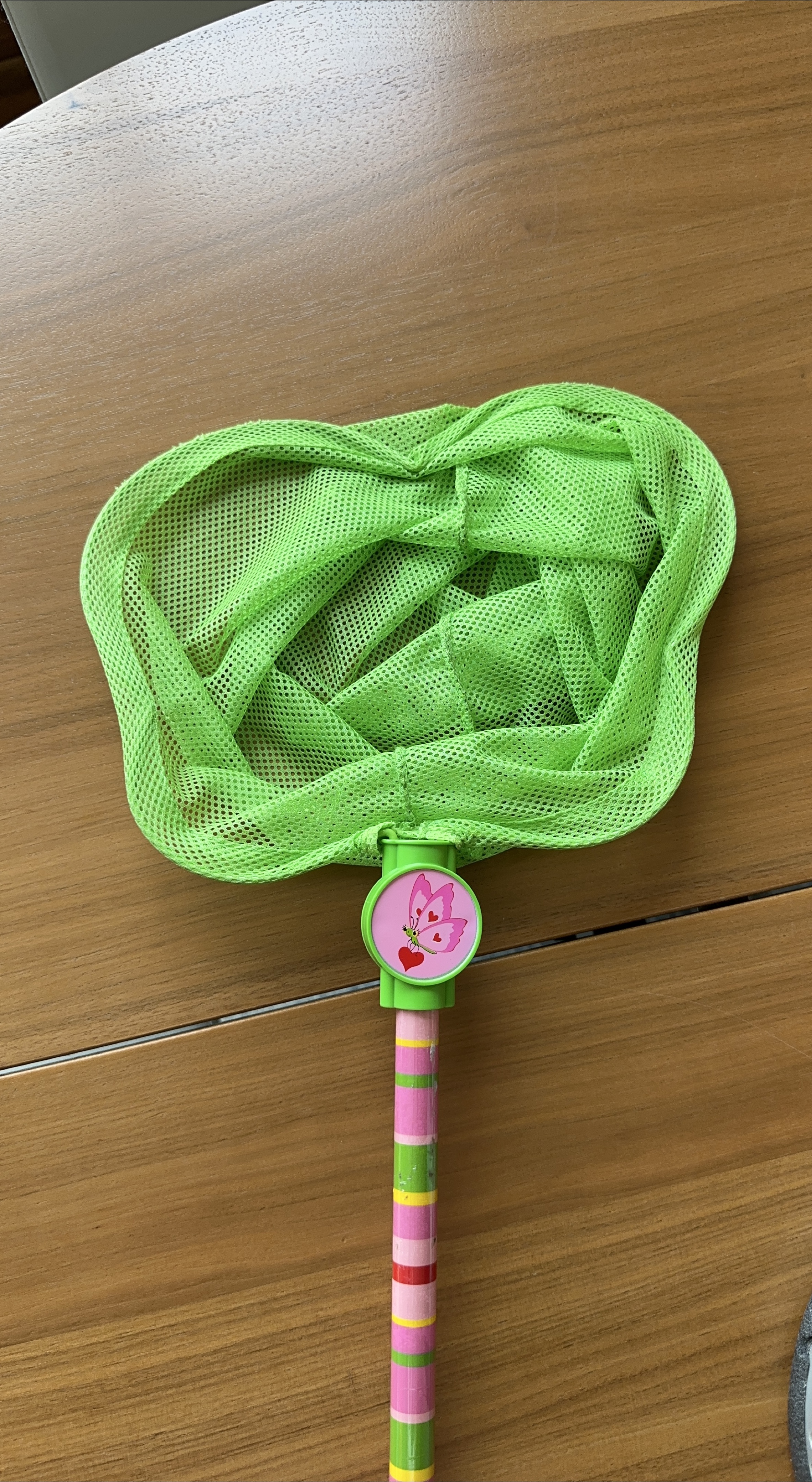 Kids Butterfly Net thumbnail