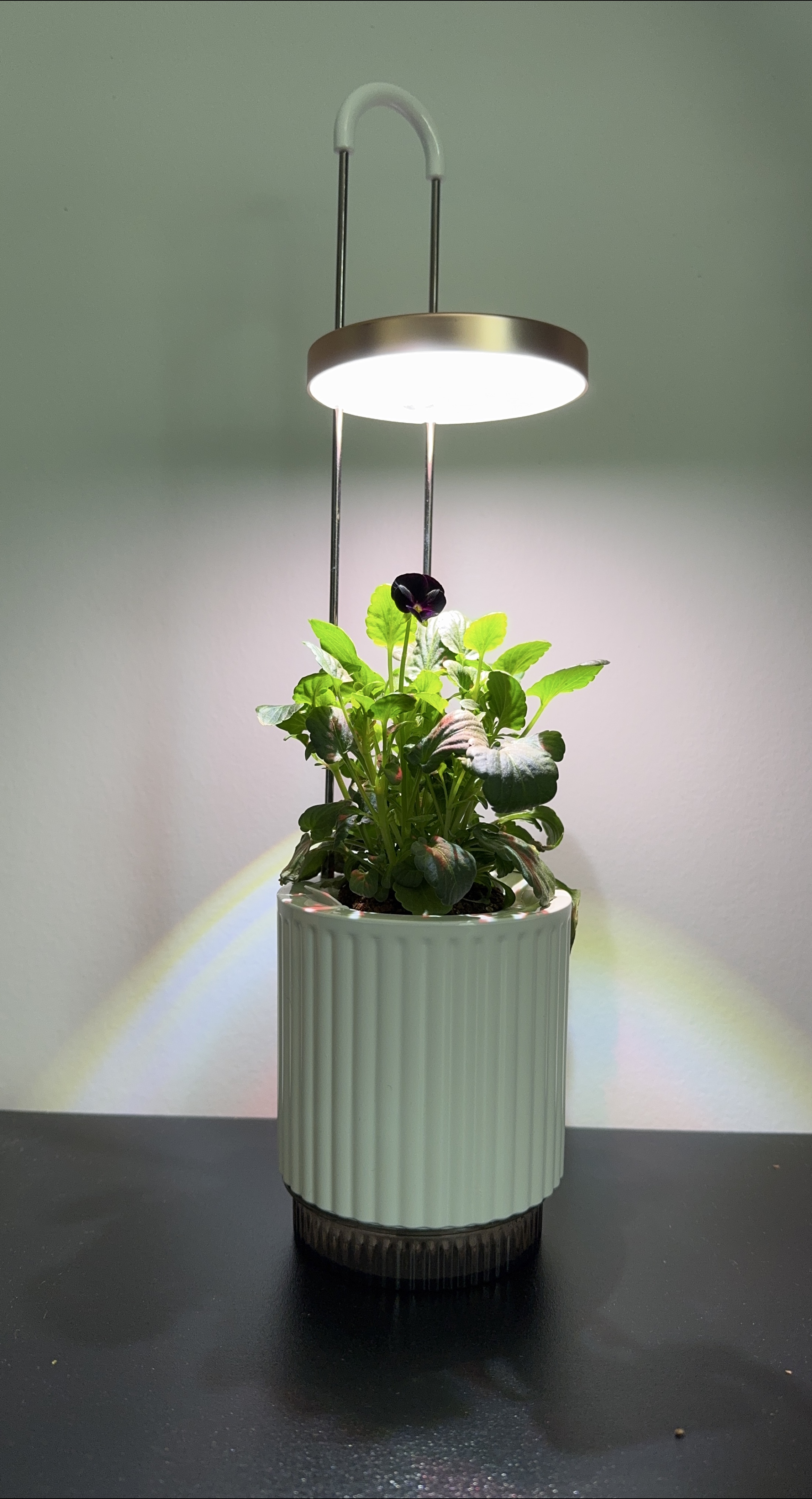 Hydrovase by Ermonix - LED Grow Light with Plant Pot thumbnail