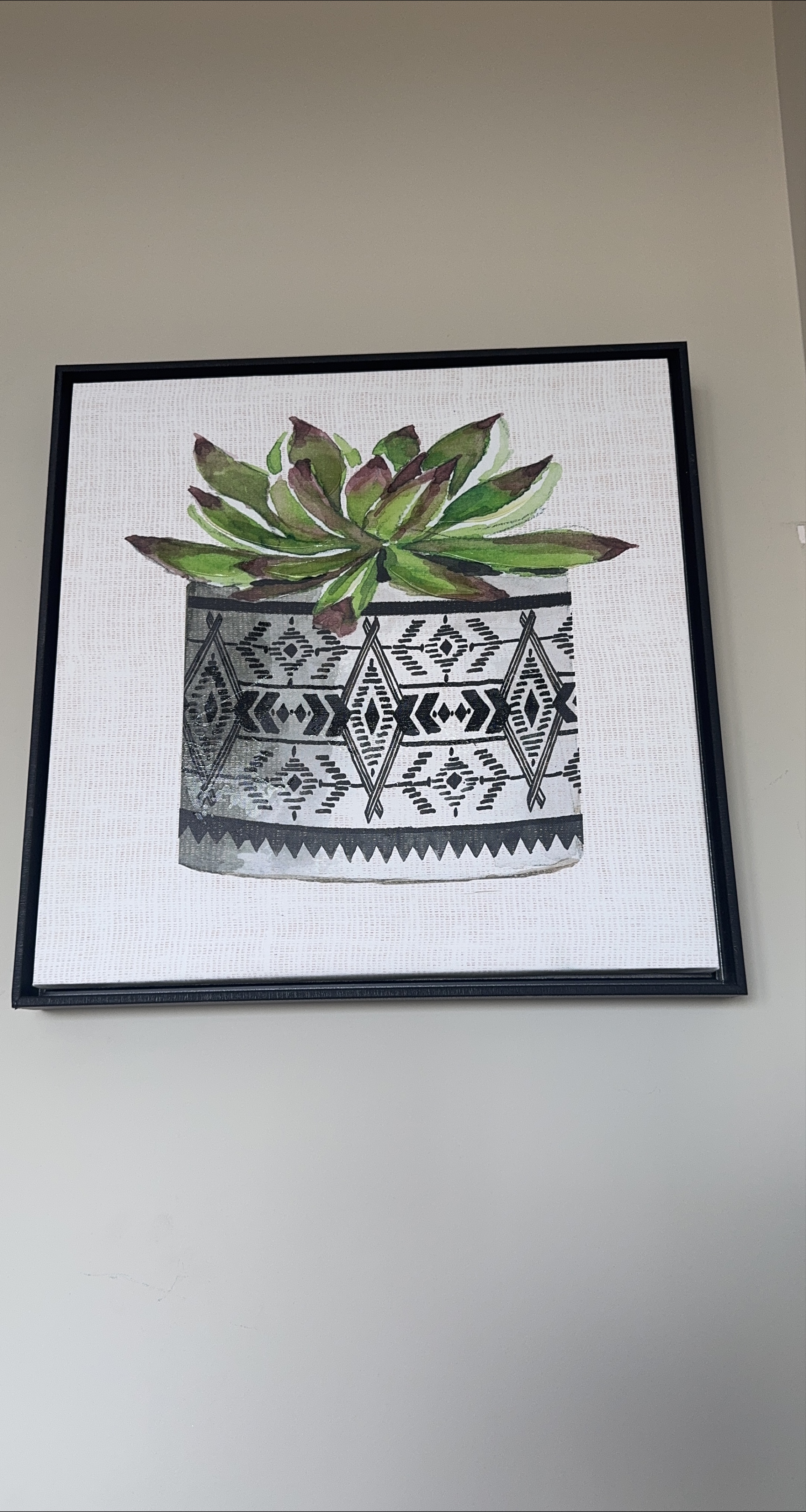 Framed Succulent Wall Art thumbnail