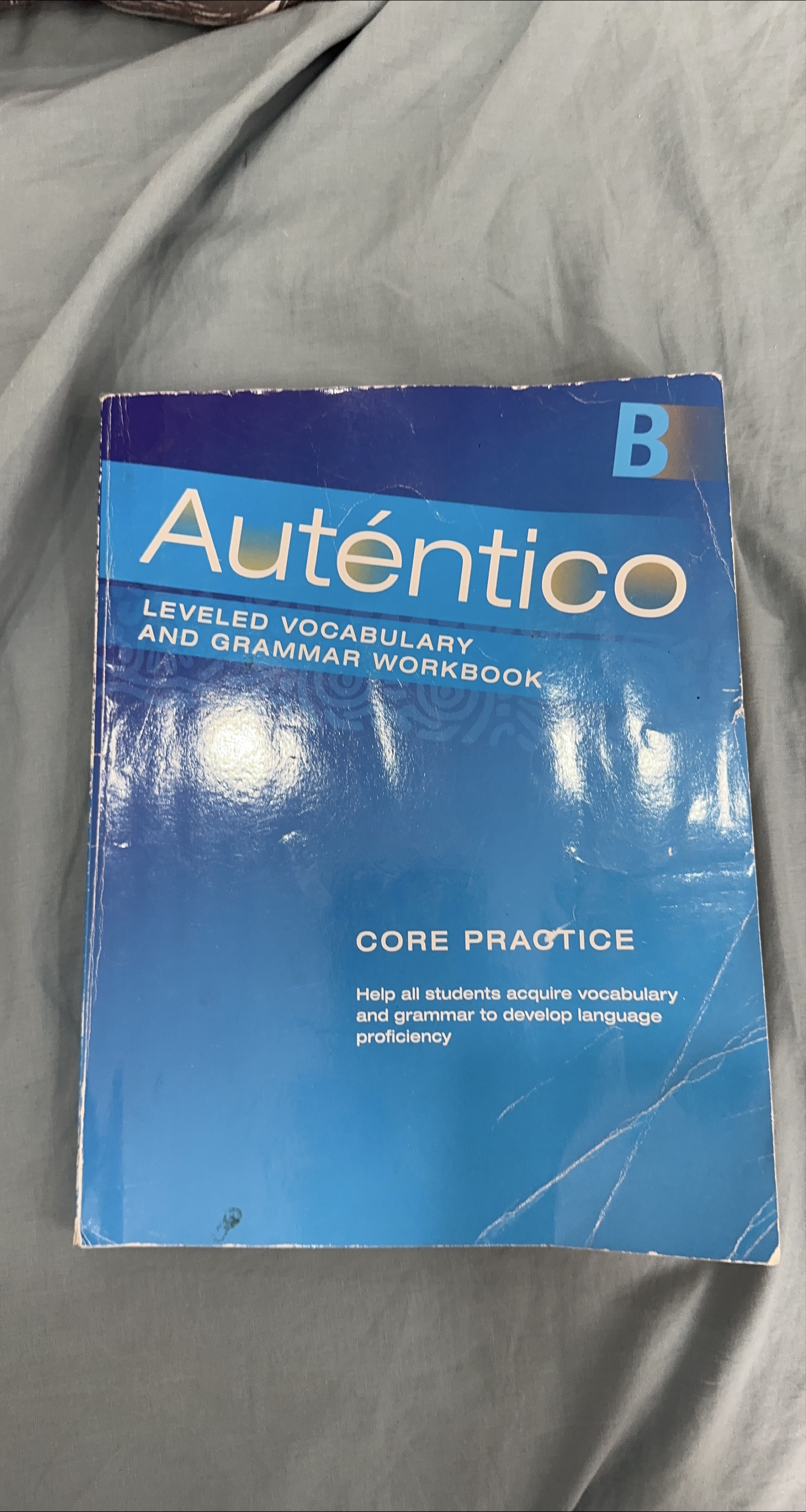 Auténtico Leveled Vocabulary and Grammar Workbook thumbnail