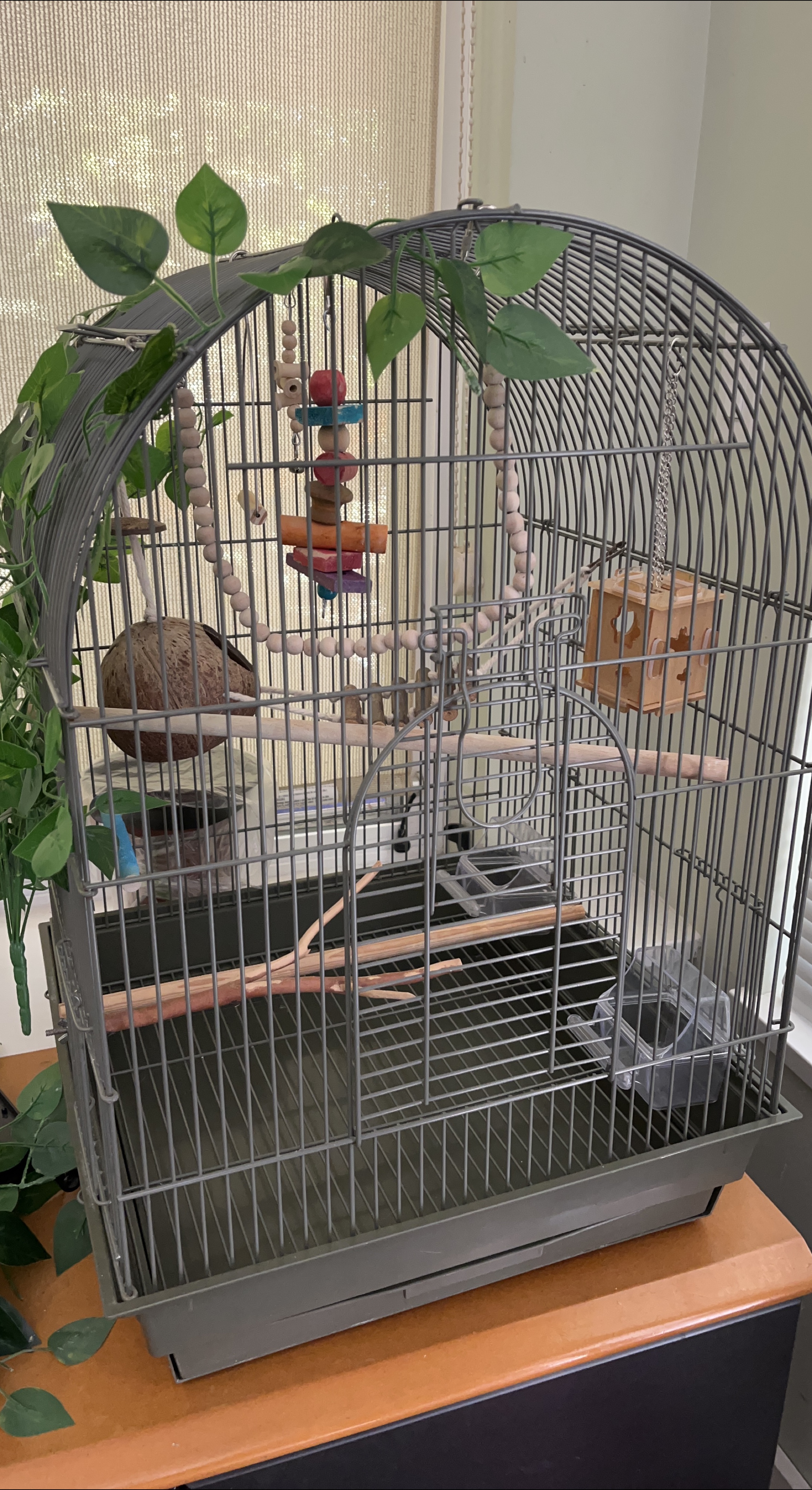 Bird Cage with Accessories