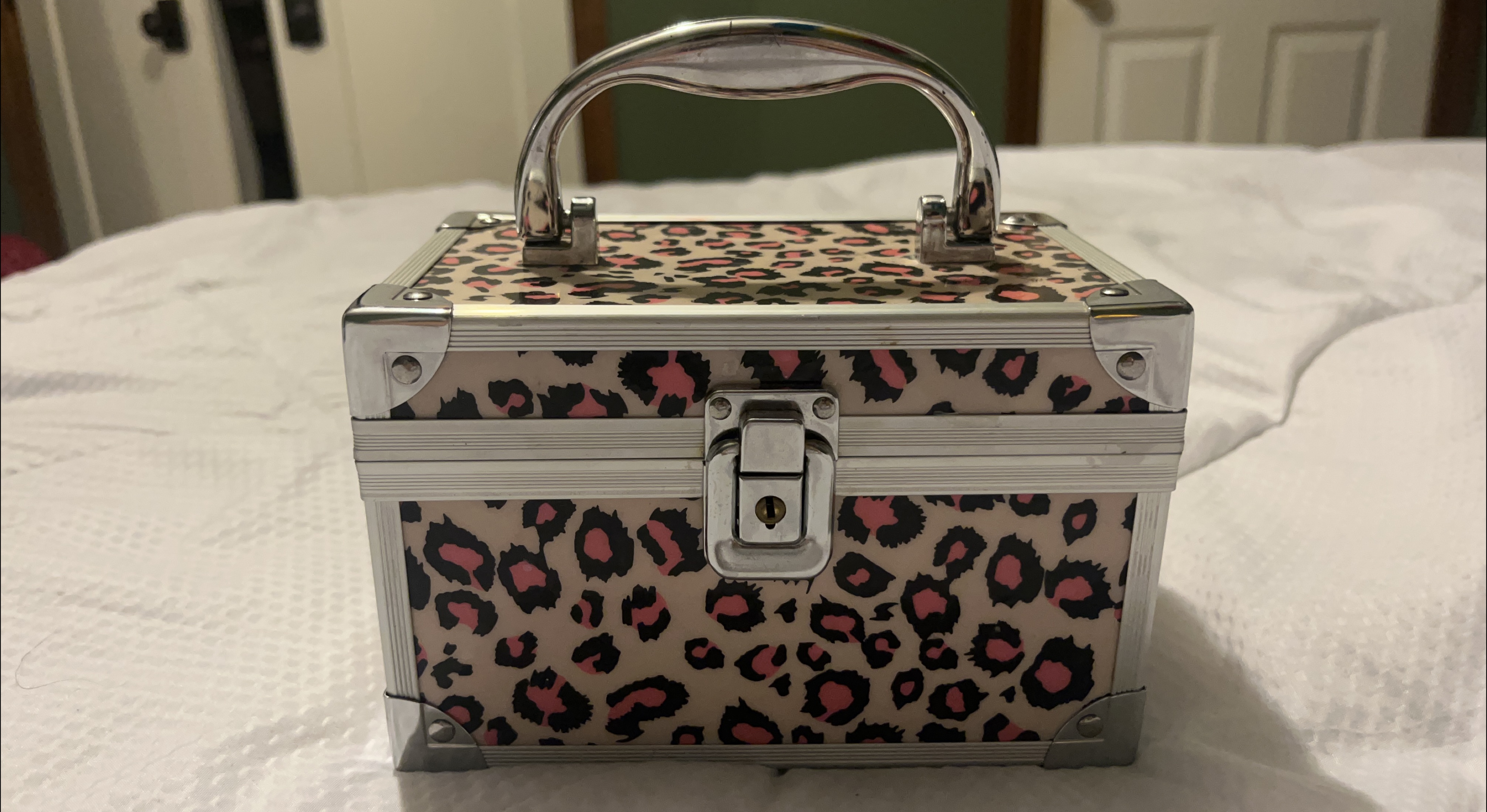 Leopard Print Makeup/Jewelry Box thumbnail