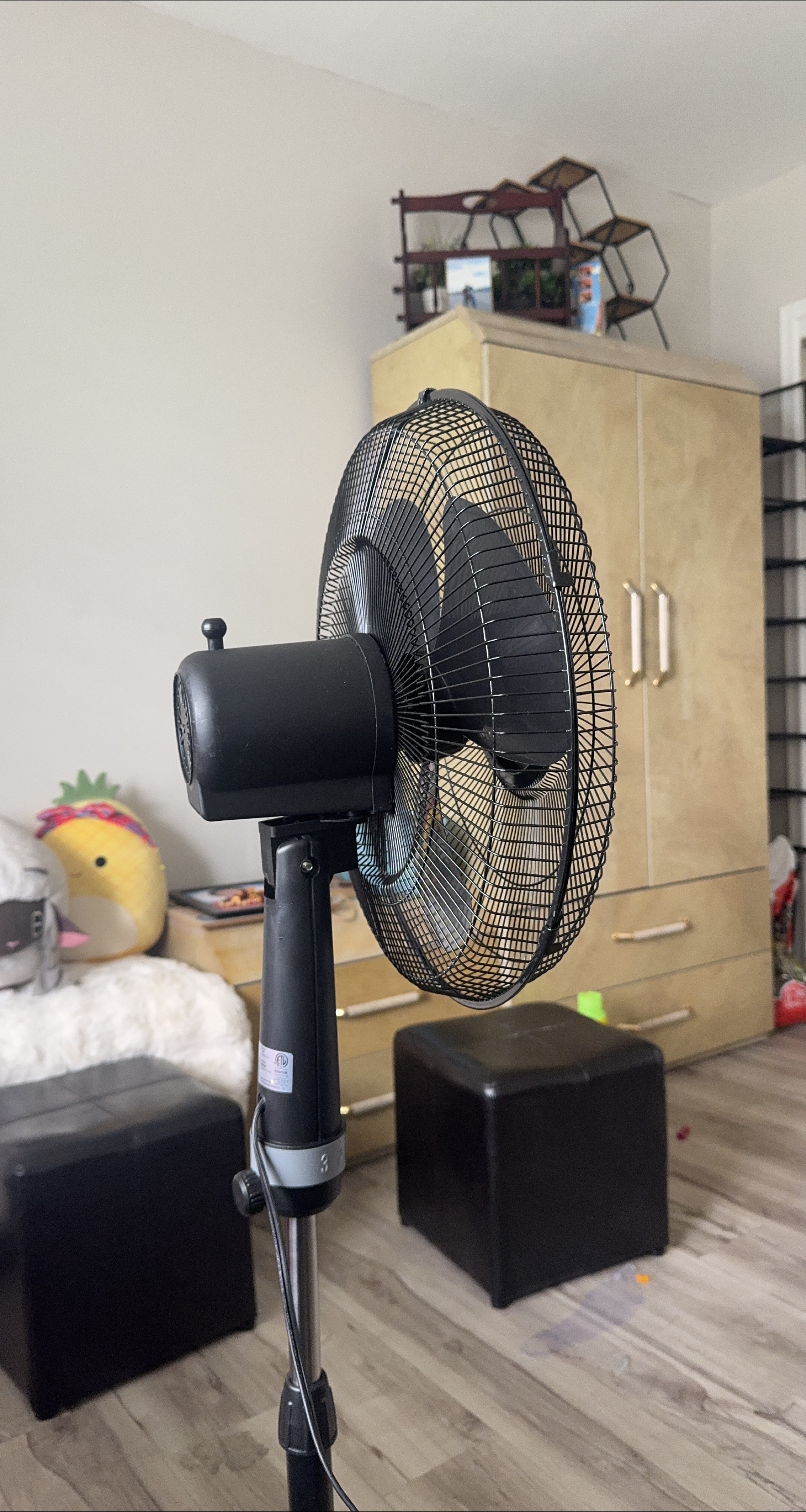 Black Oscillating Pedestal Fan