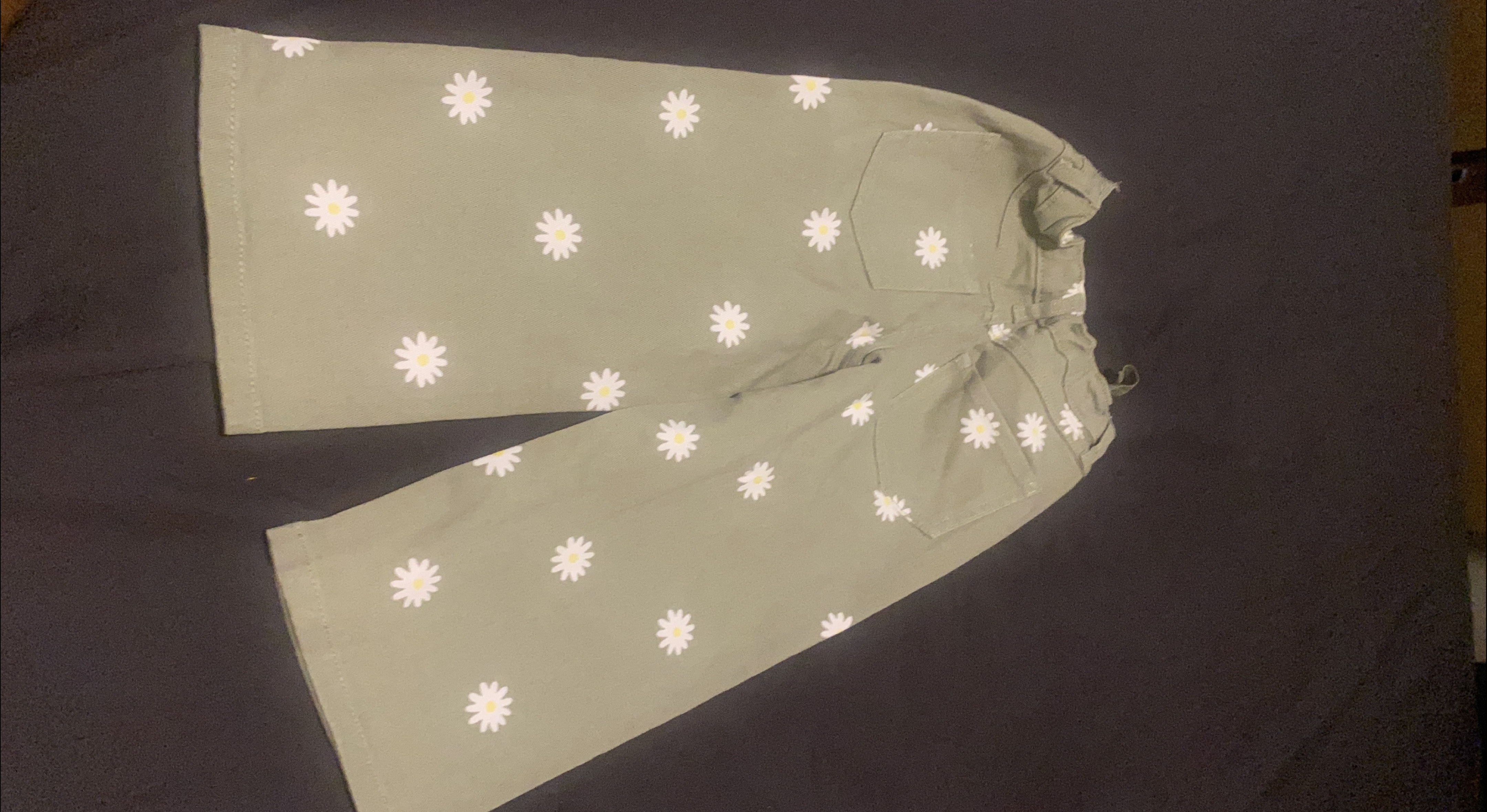 Olive Green Daisy Print Cropped Pants thumbnail