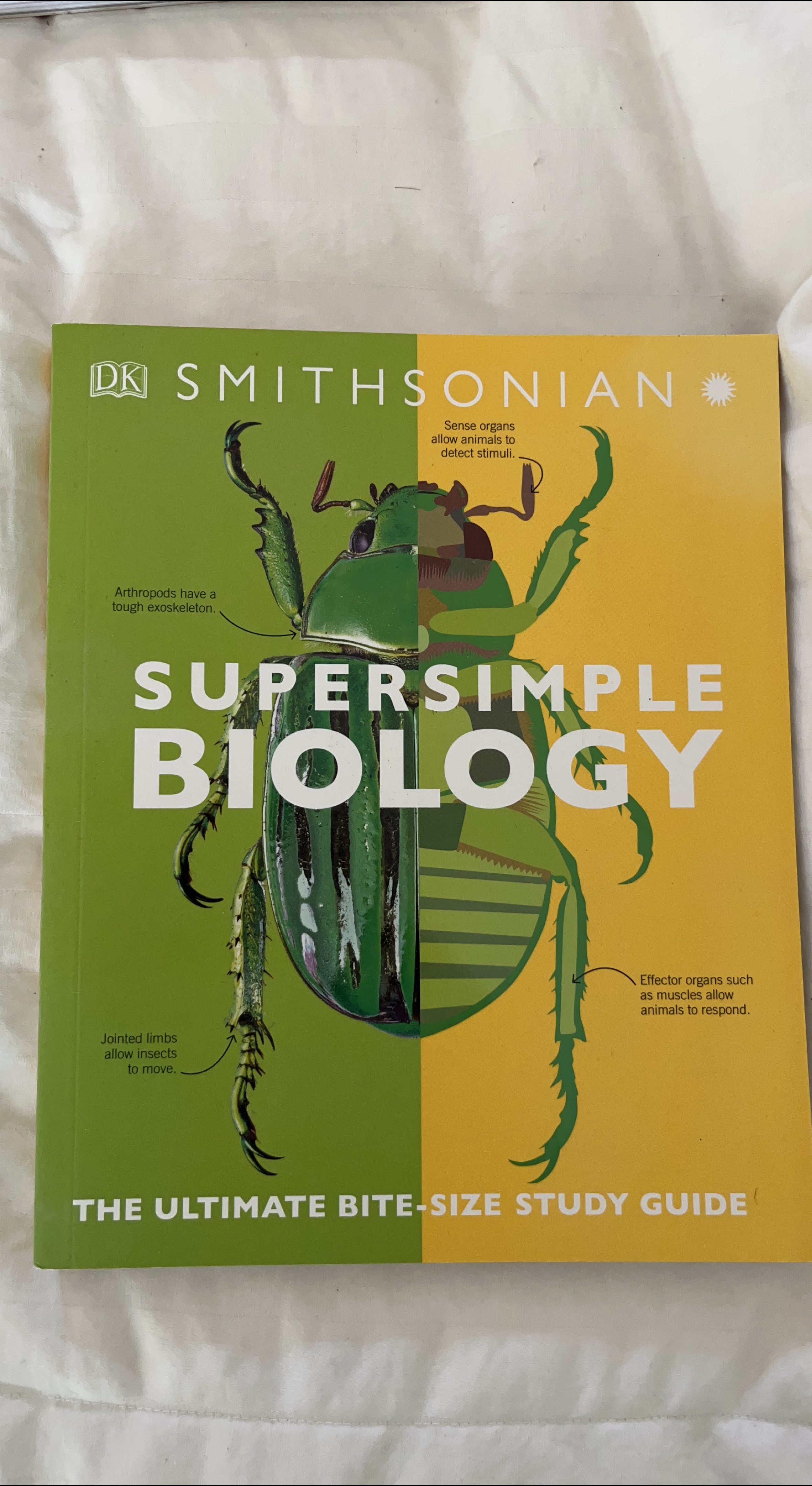 Super Simple Biology: Ultimate Bite-Size Study Guide thumbnail