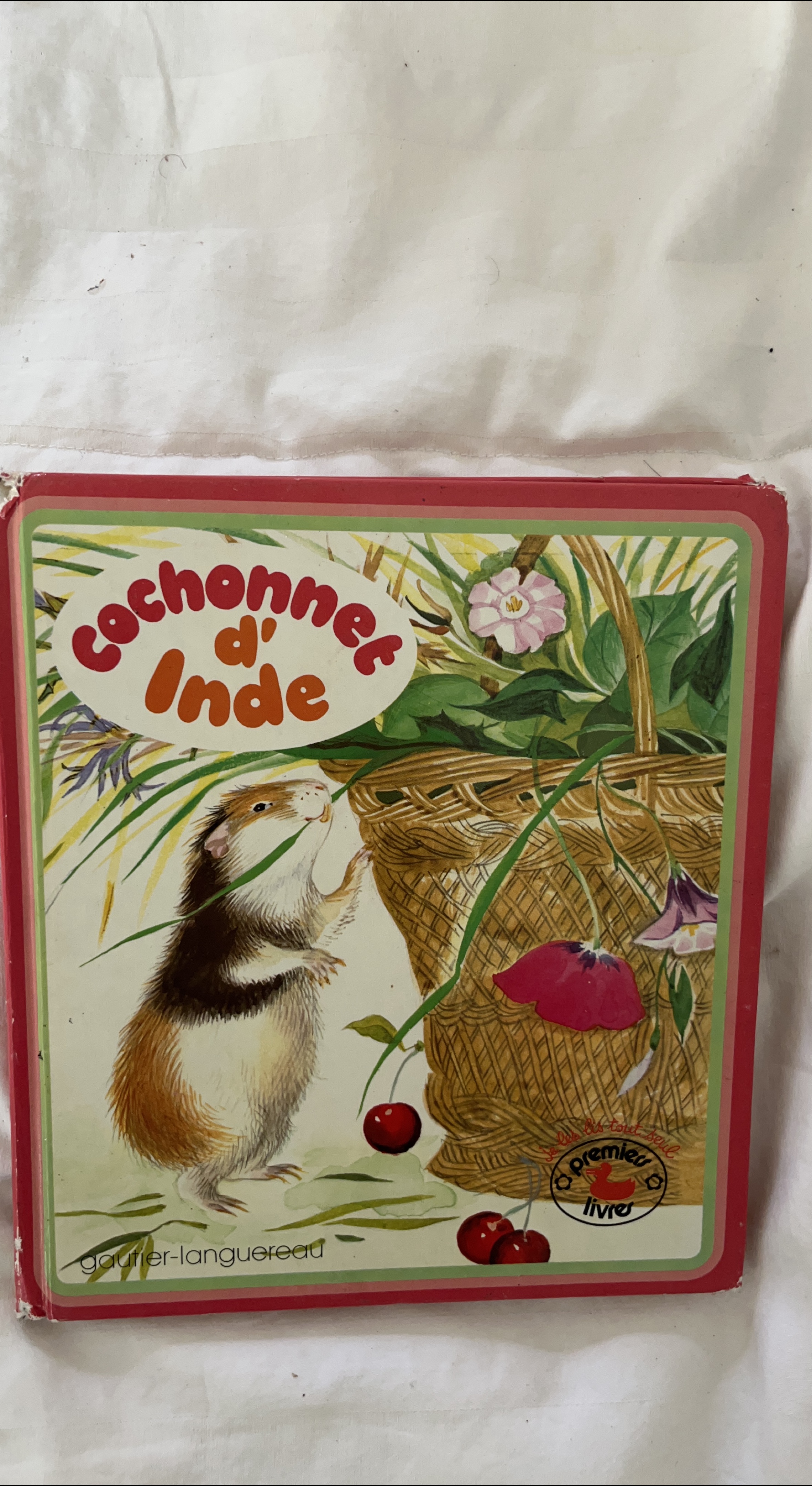 Cochonner d'Inde Book thumbnail