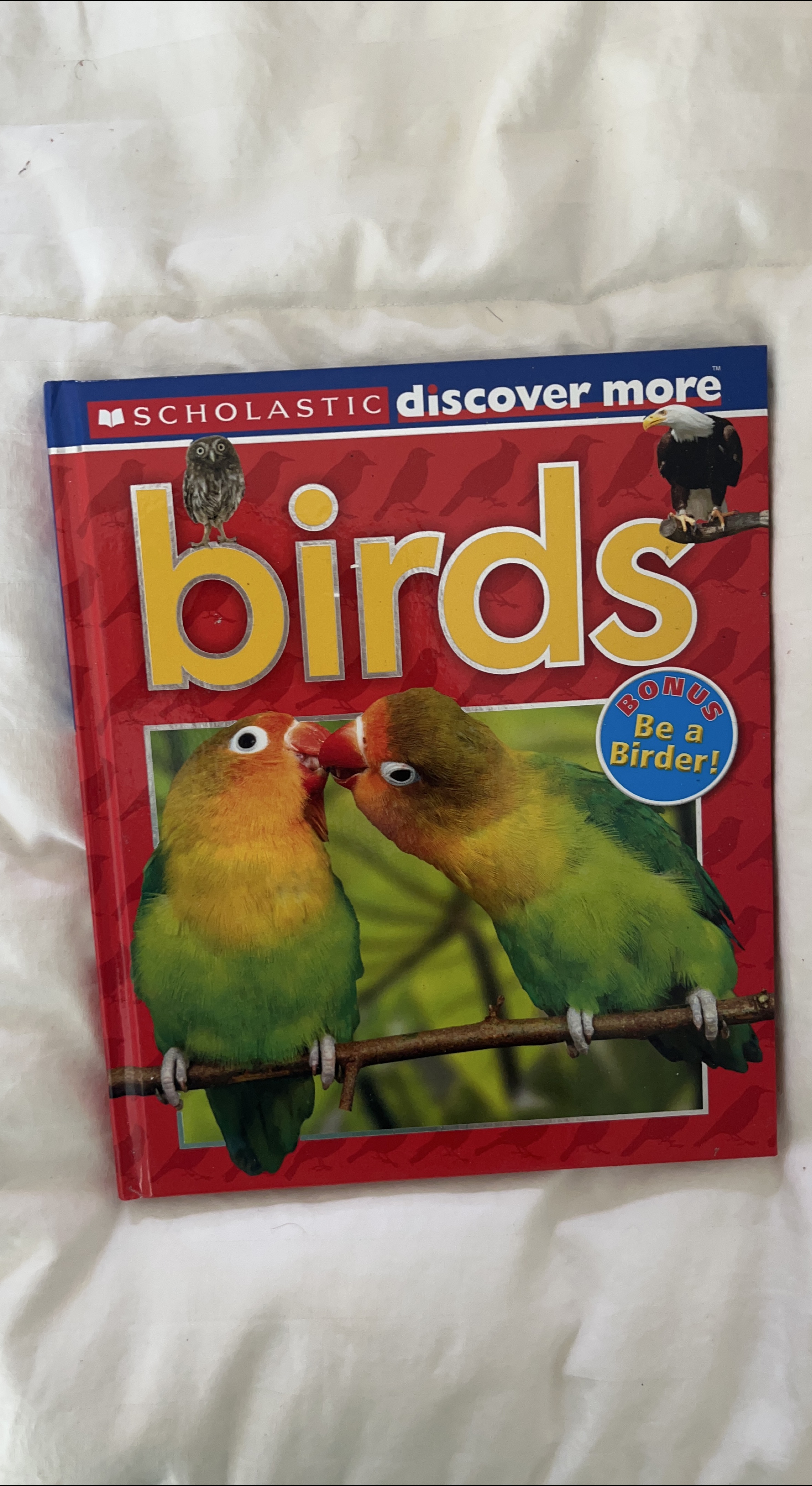 Scholastic Discover More: Birds thumbnail