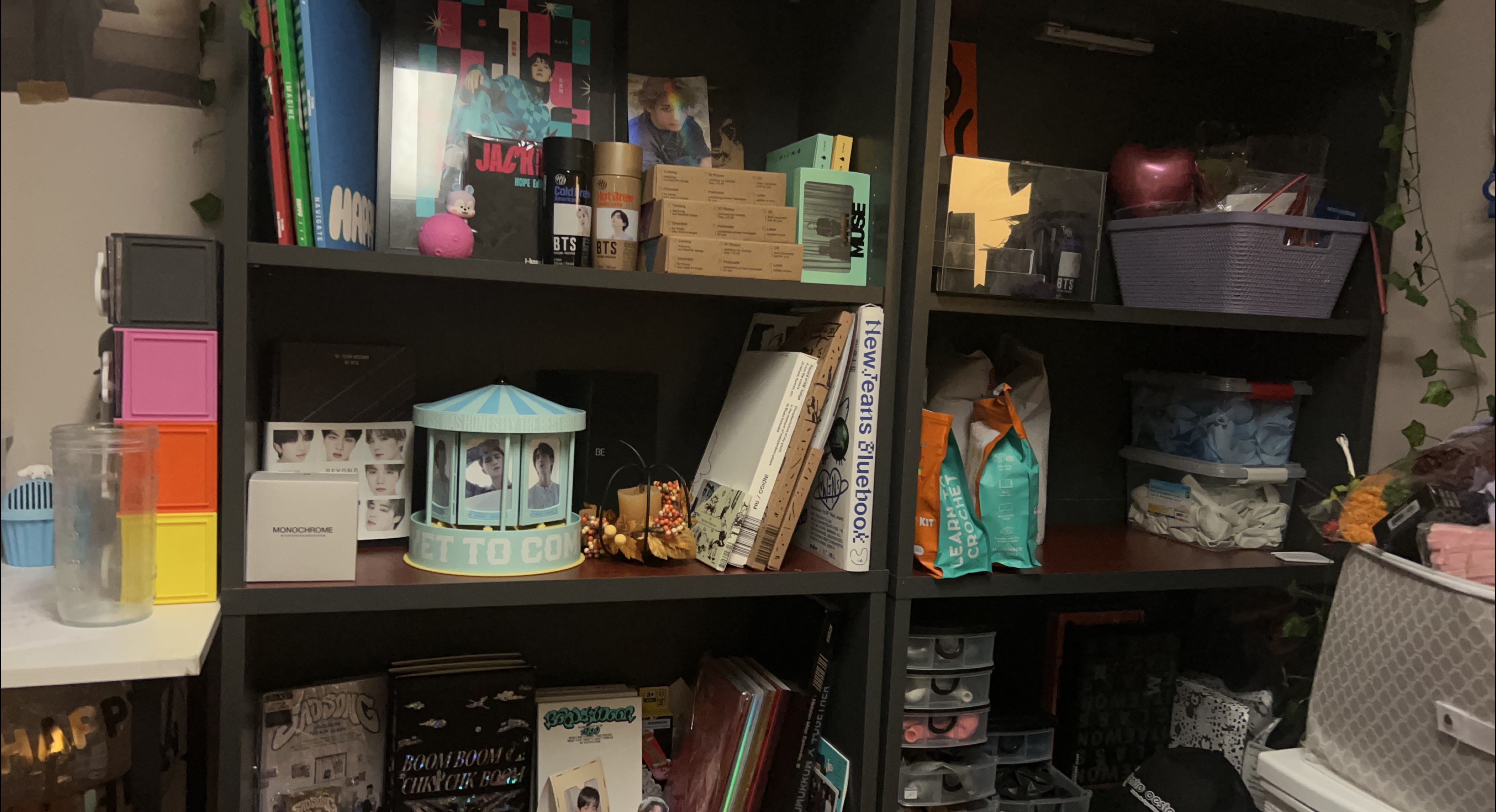 Bookshelf// bookshelves thumbnail