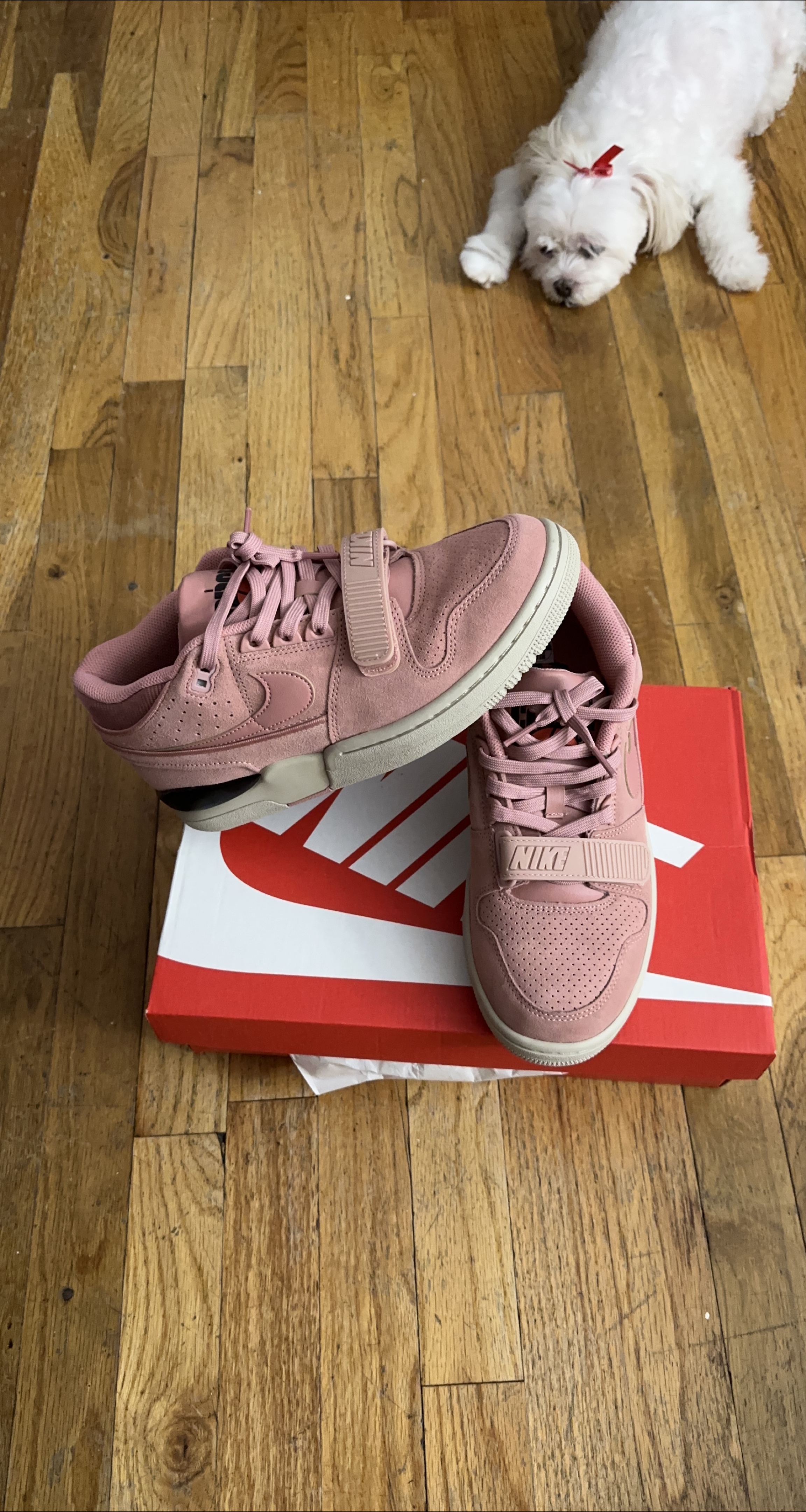 Nike Trainer 1 Low Pink Oxford Shoes thumbnail