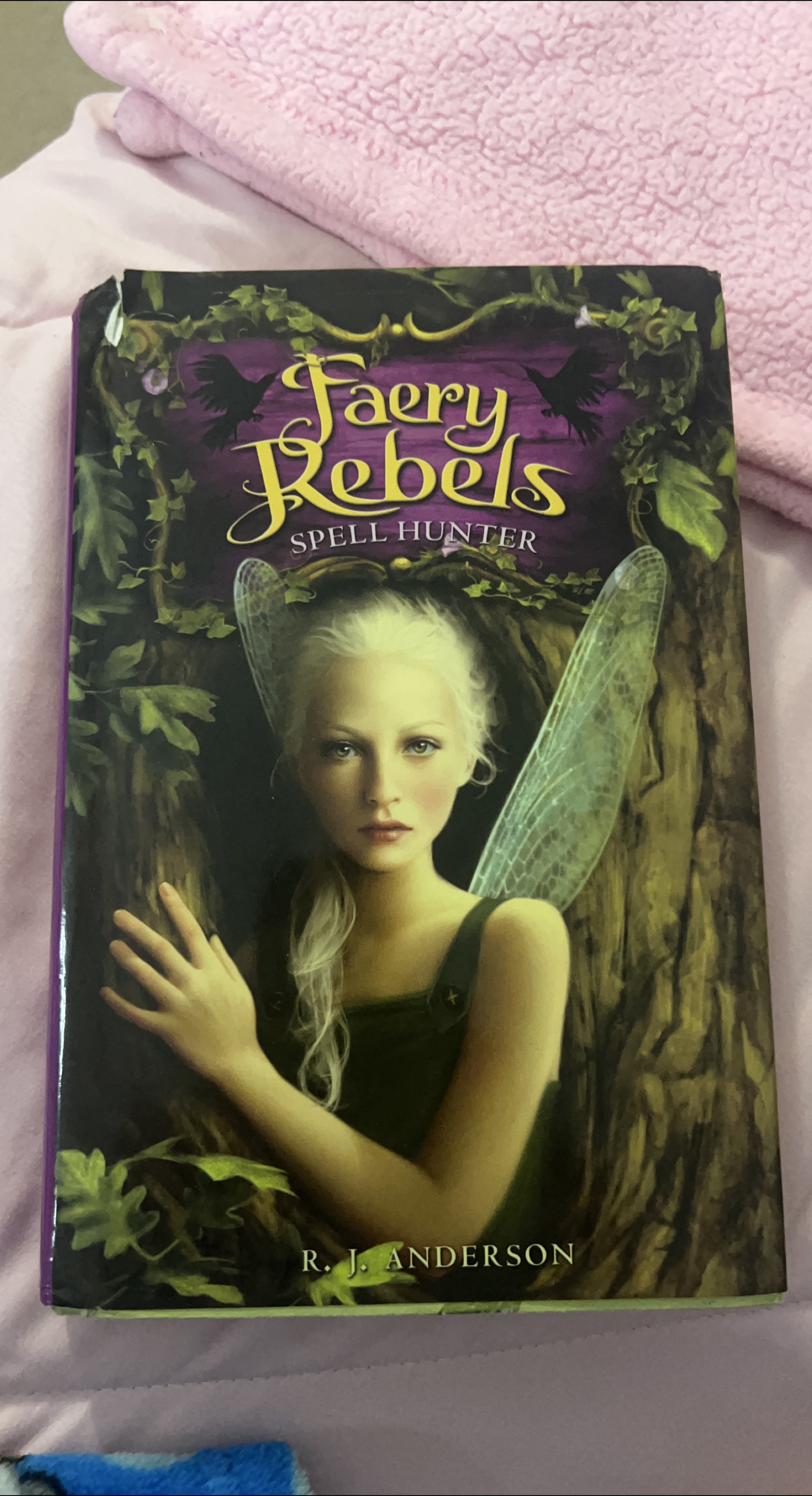 Faery Rebels: Spell Hunter by R.J. Anderson thumbnail