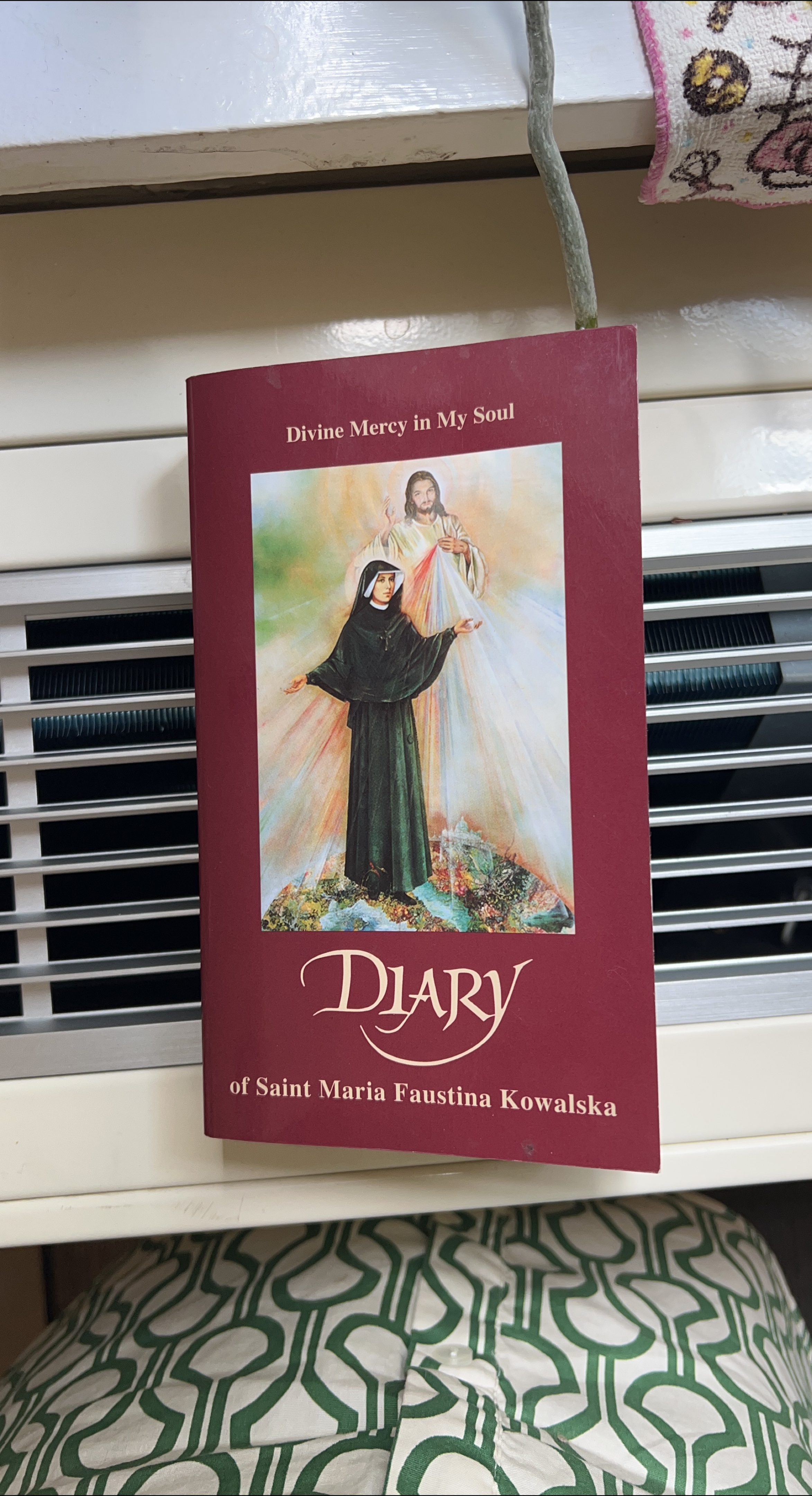 🧡 Diary of Saint Maria Faustina Kowalska thumbnail