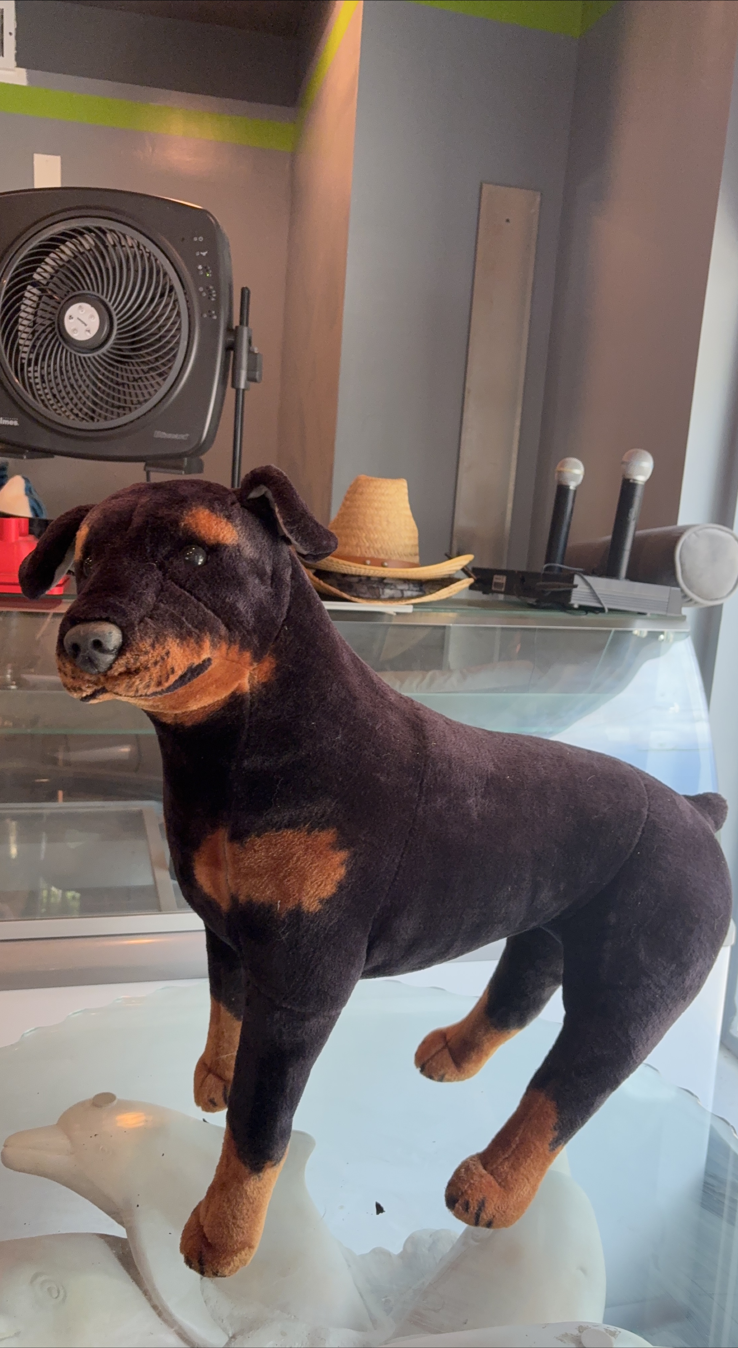 Rottweiler Plush Toy thumbnail