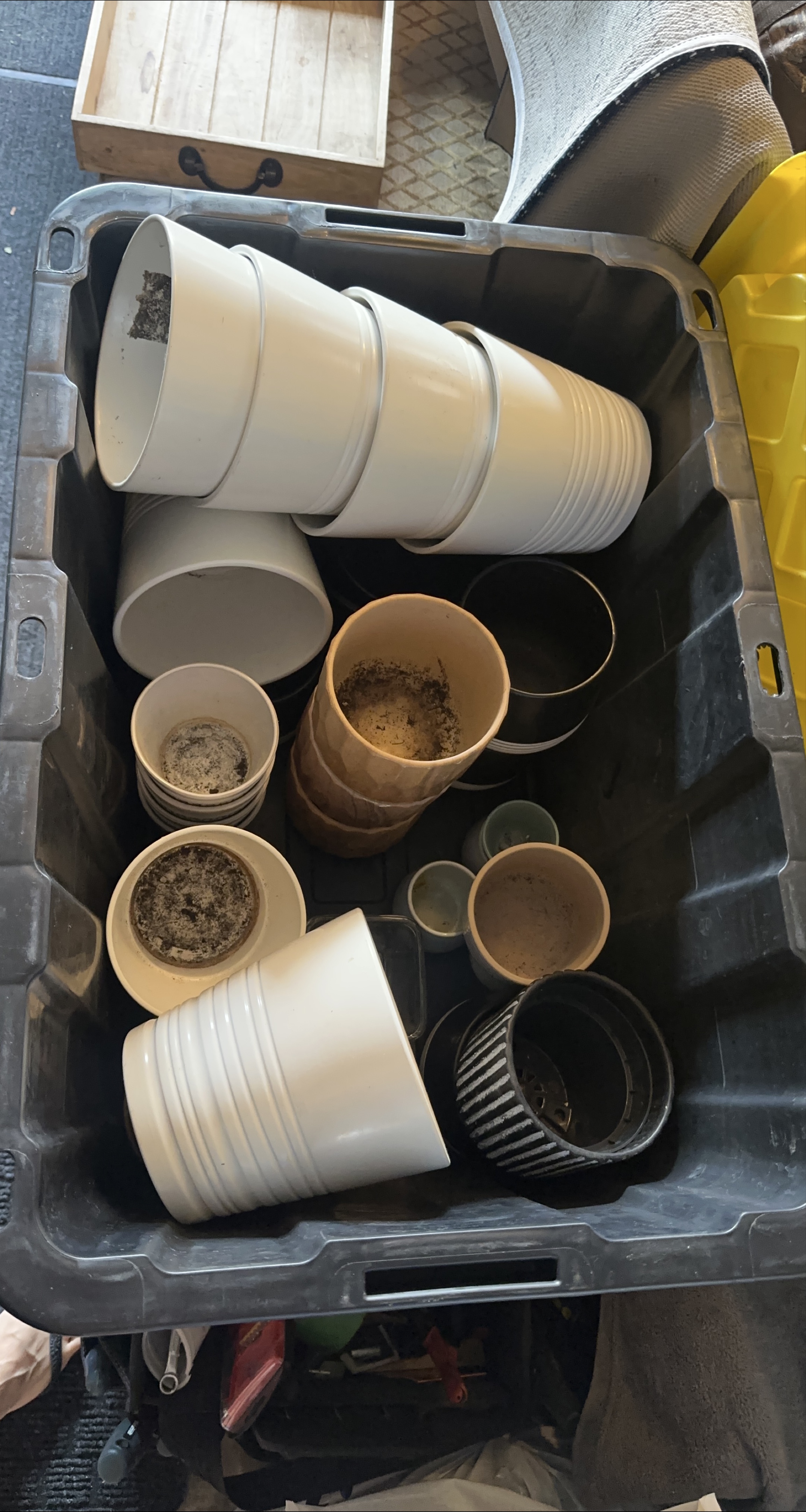 Assorted Decorative Plant Pots thumbnail