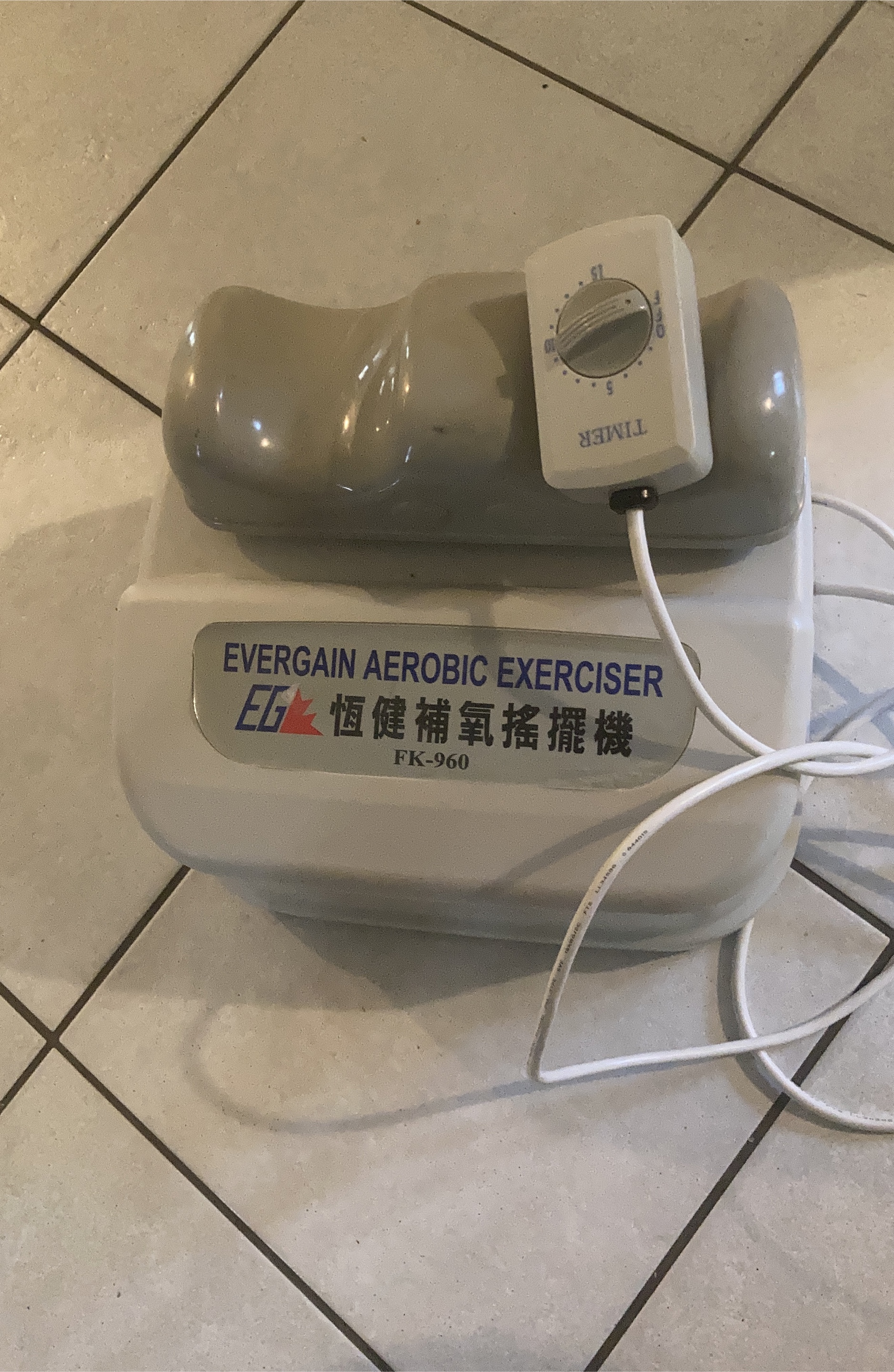 Evergain Aerobic Exerciser FK-960 thumbnail