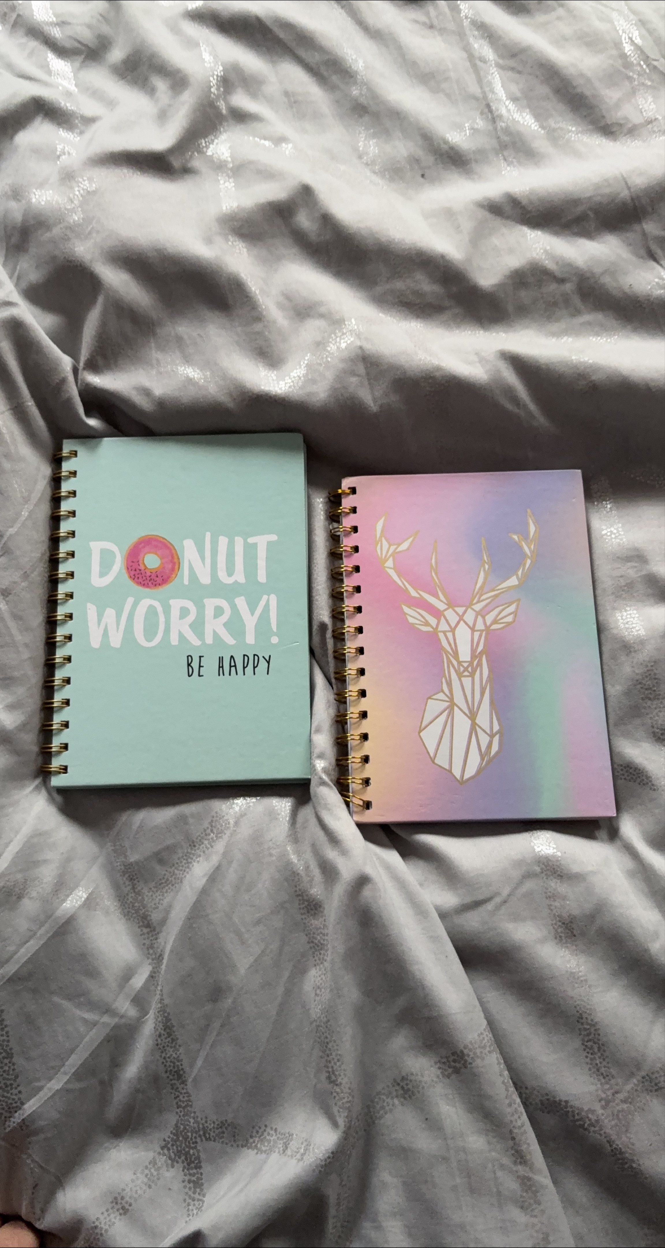 Two Cute Notebooks thumbnail