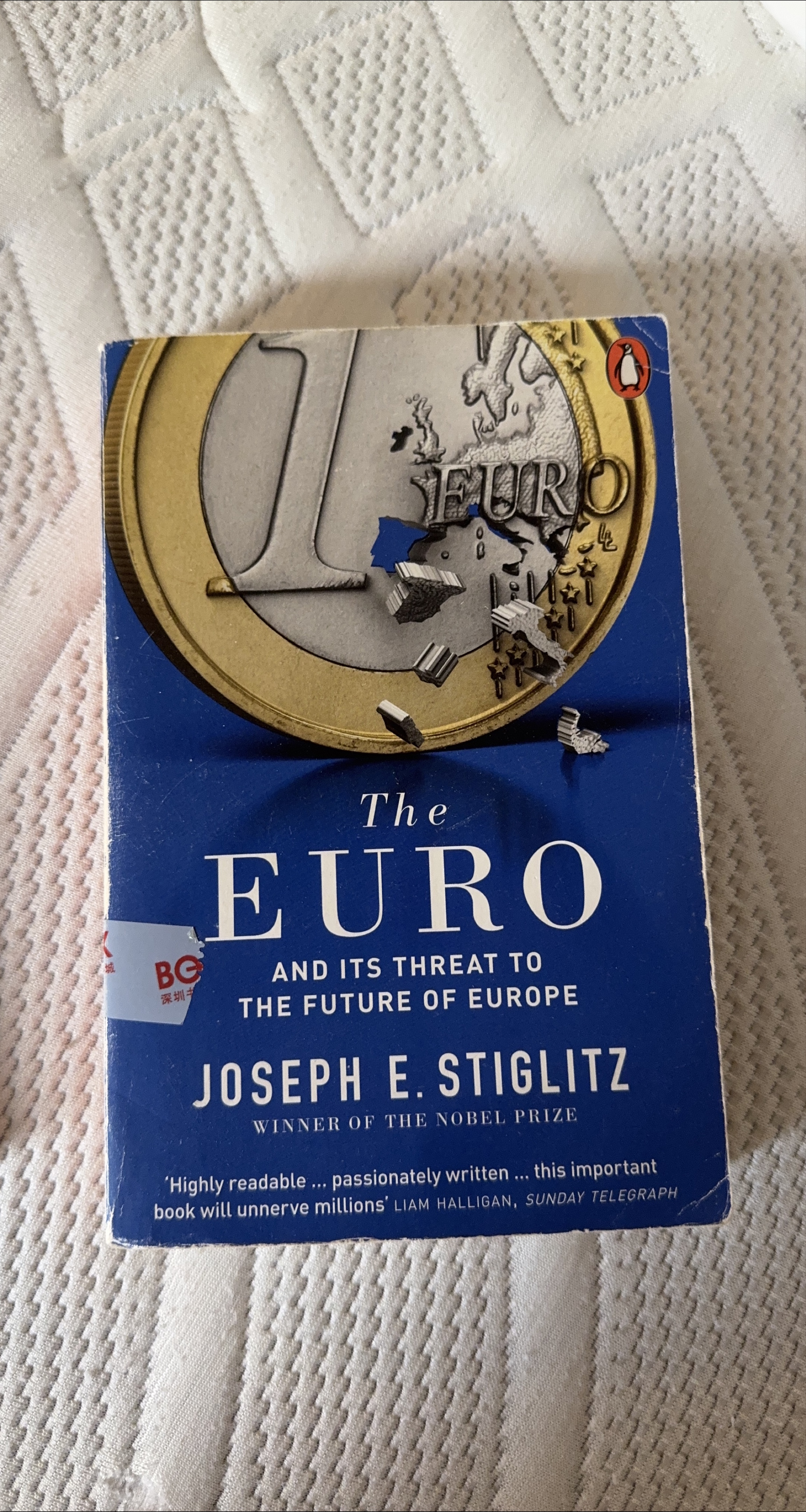 The Euro by Joseph E. Stiglitz thumbnail