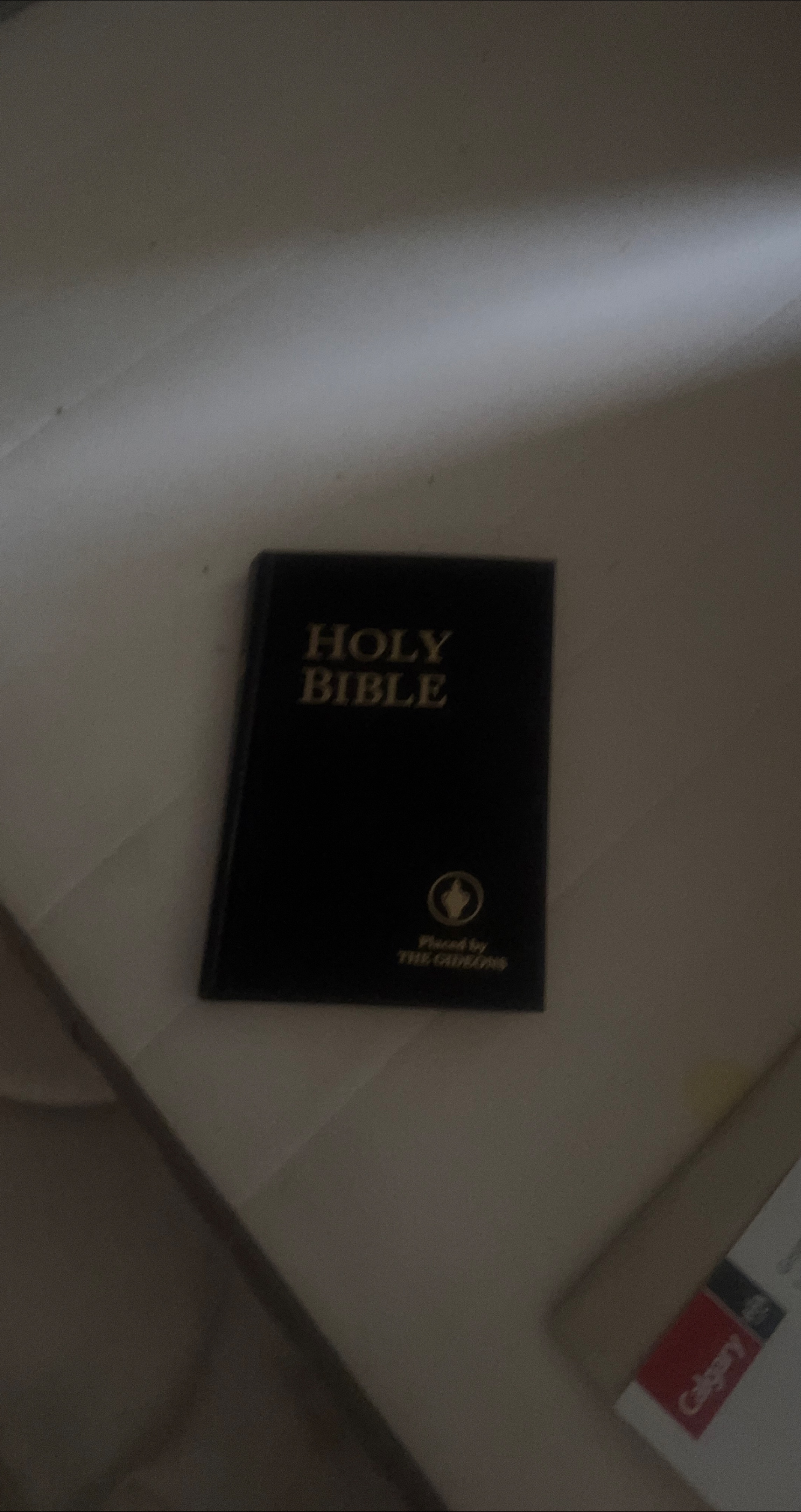 Holy Bible - The Gideons thumbnail
