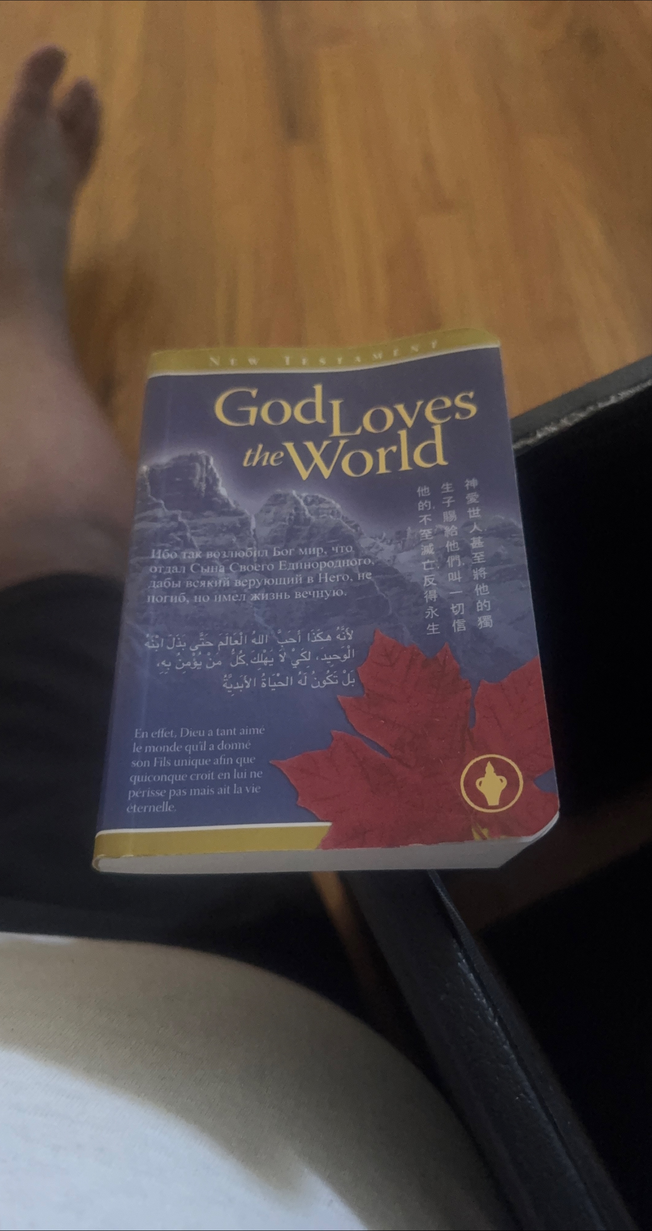 God Loves the World - New Testament thumbnail