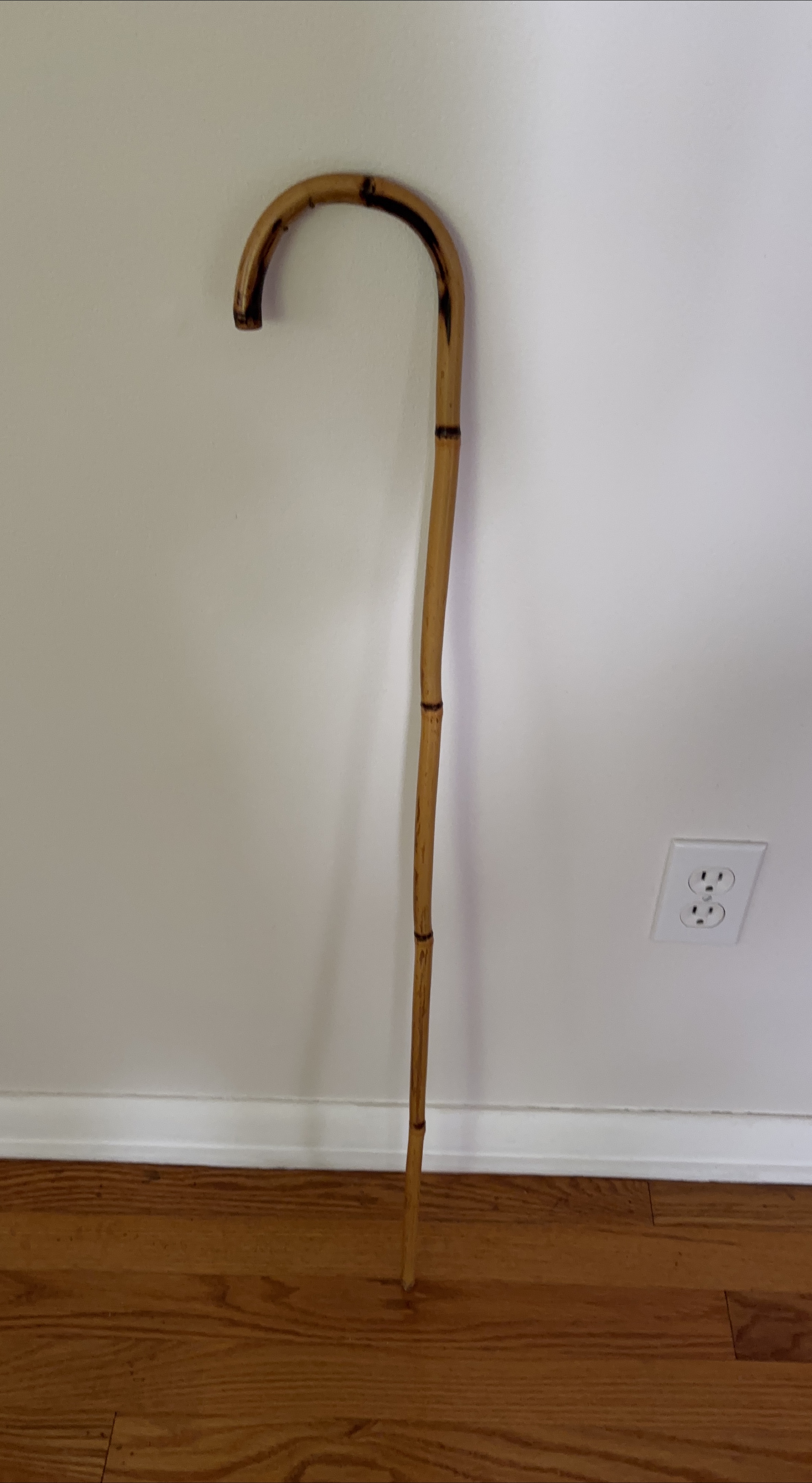 Bamboo Walking Cane thumbnail