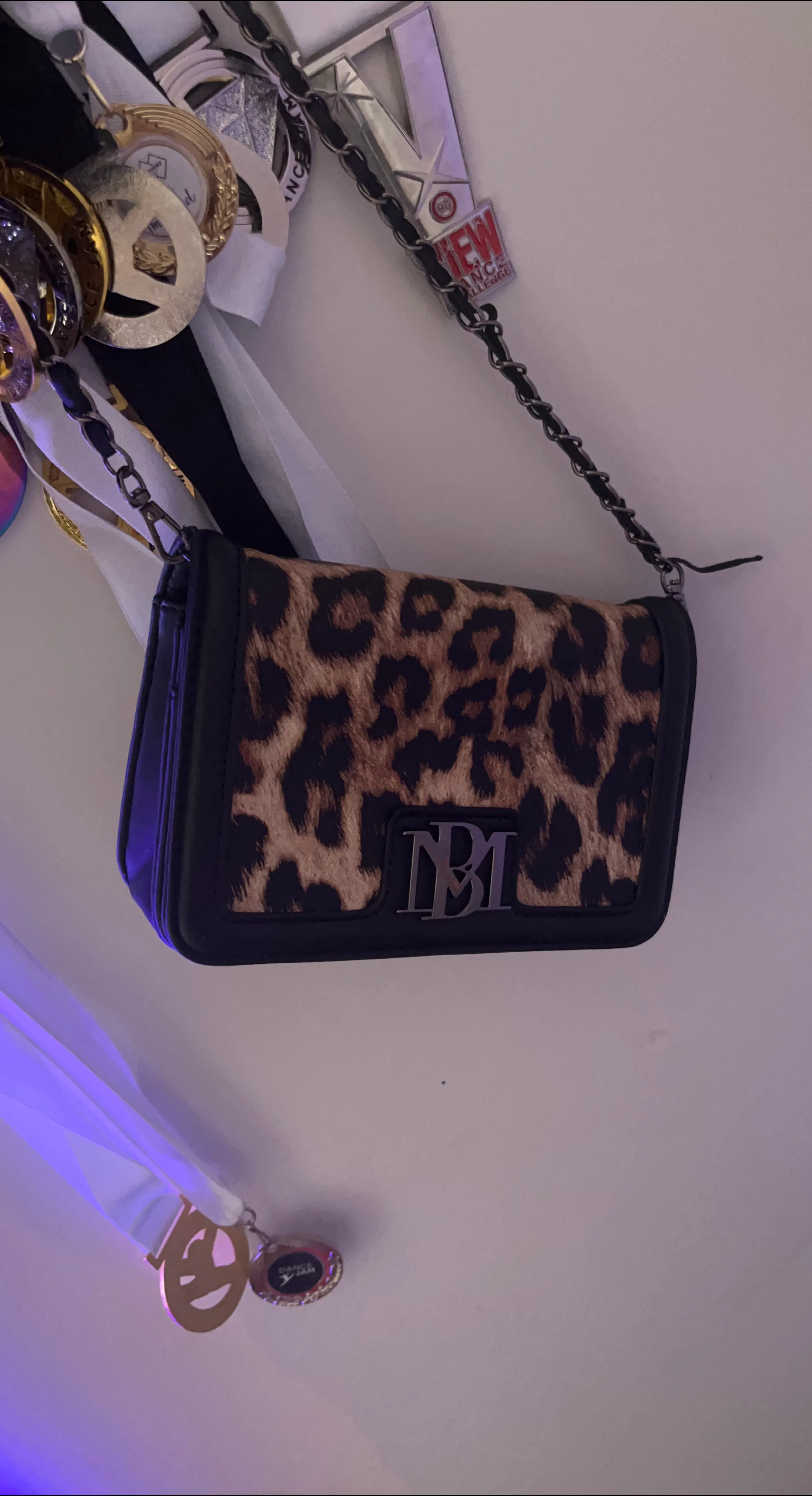 Leopard Print Crossbody Bag