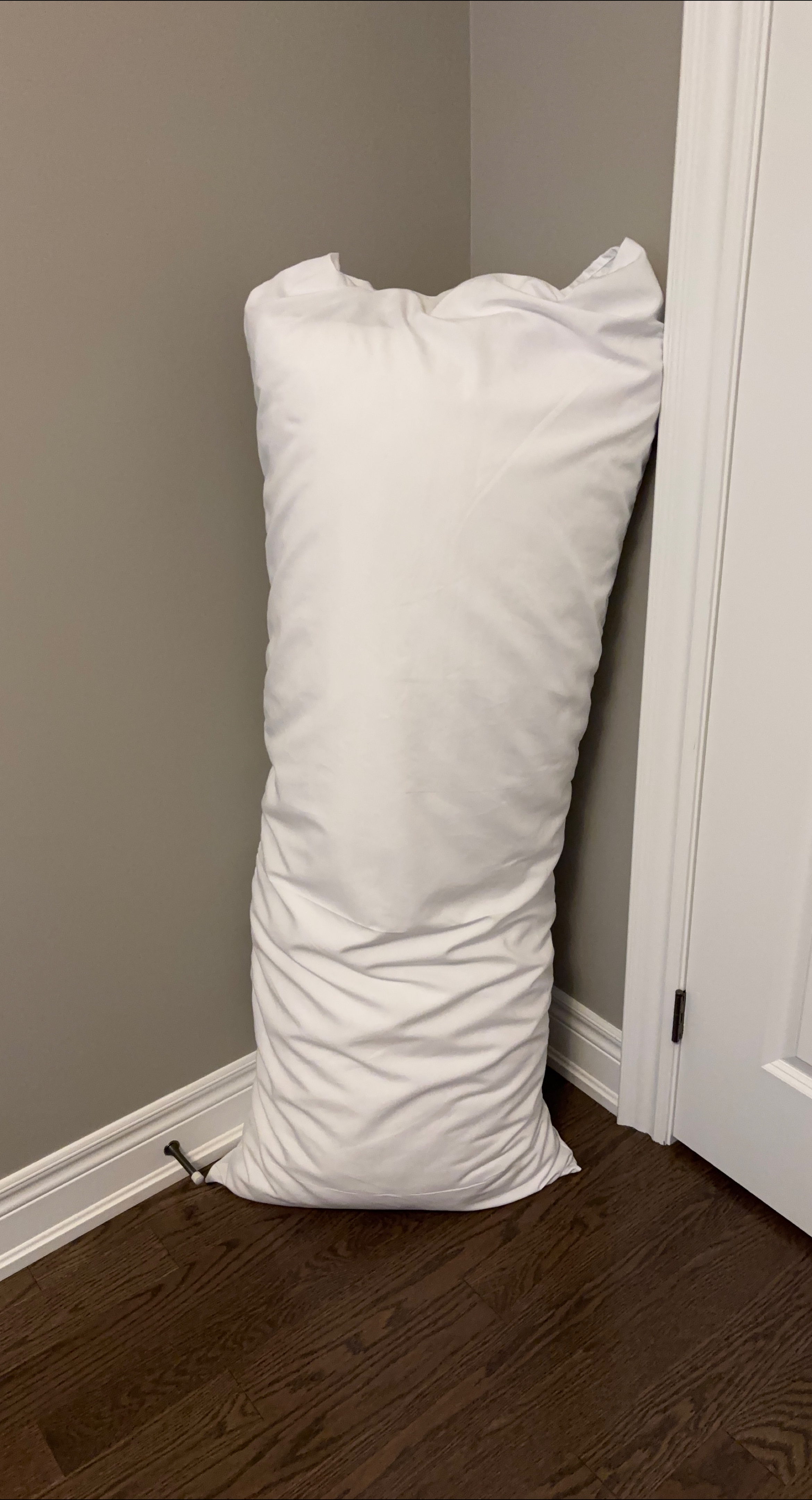 White Body Pillow & Case - Never Used thumbnail