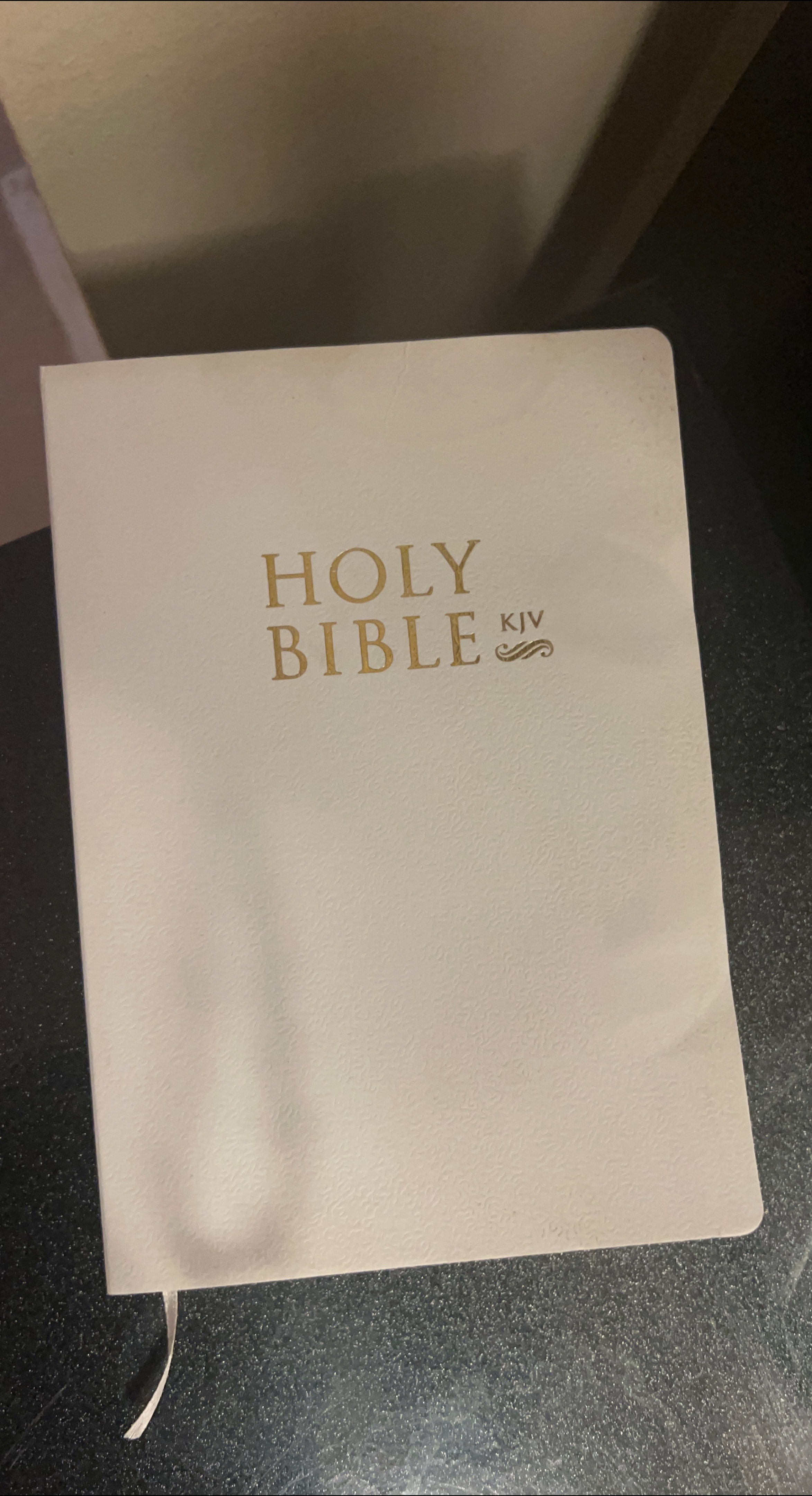Holy Bible KJV